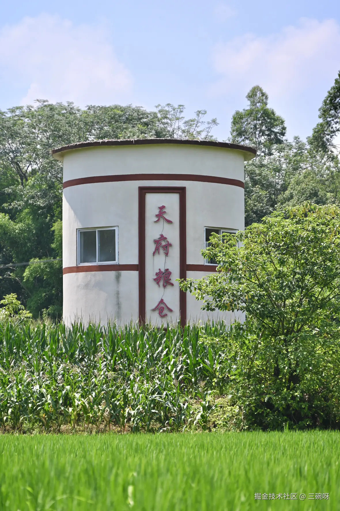 三碗呀于2025-07-28 02:00发布的图片