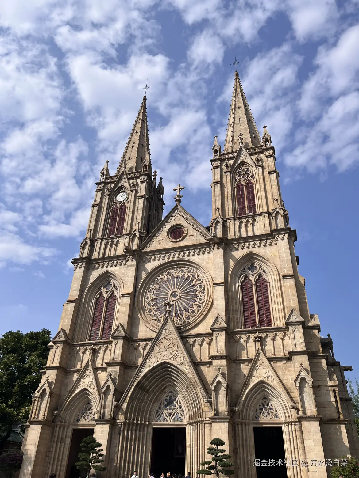 开水烫白菜于2024-11-25 09:11发布的图片