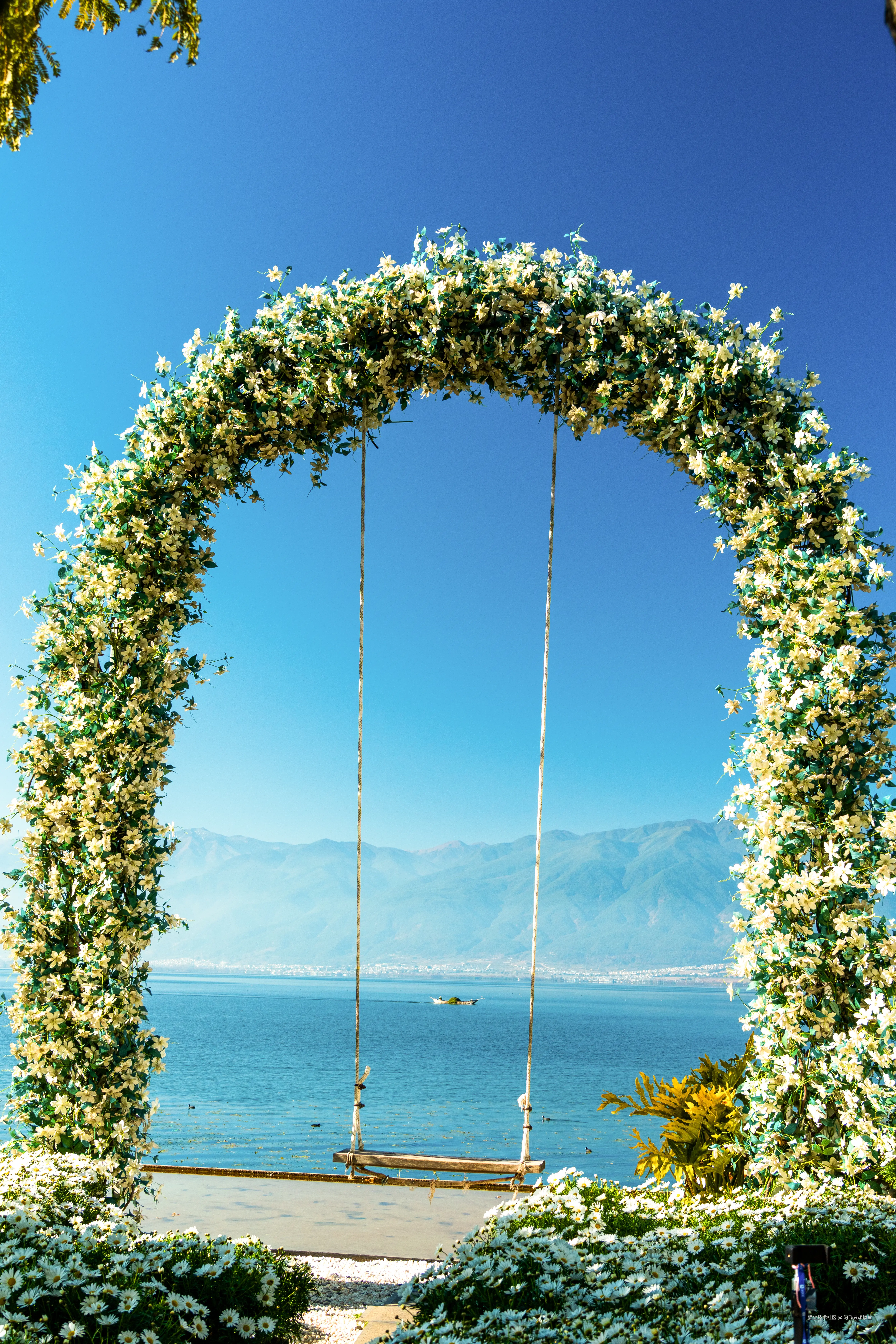 阿飞只想摸鱼于2026-02-11 14:40发布的图片