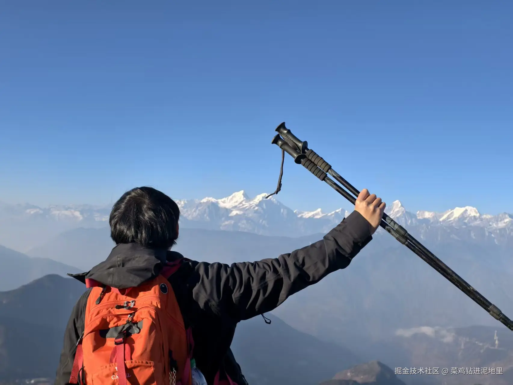 菜鸡钻进泥地里于2026-01-26 10:20发布的图片