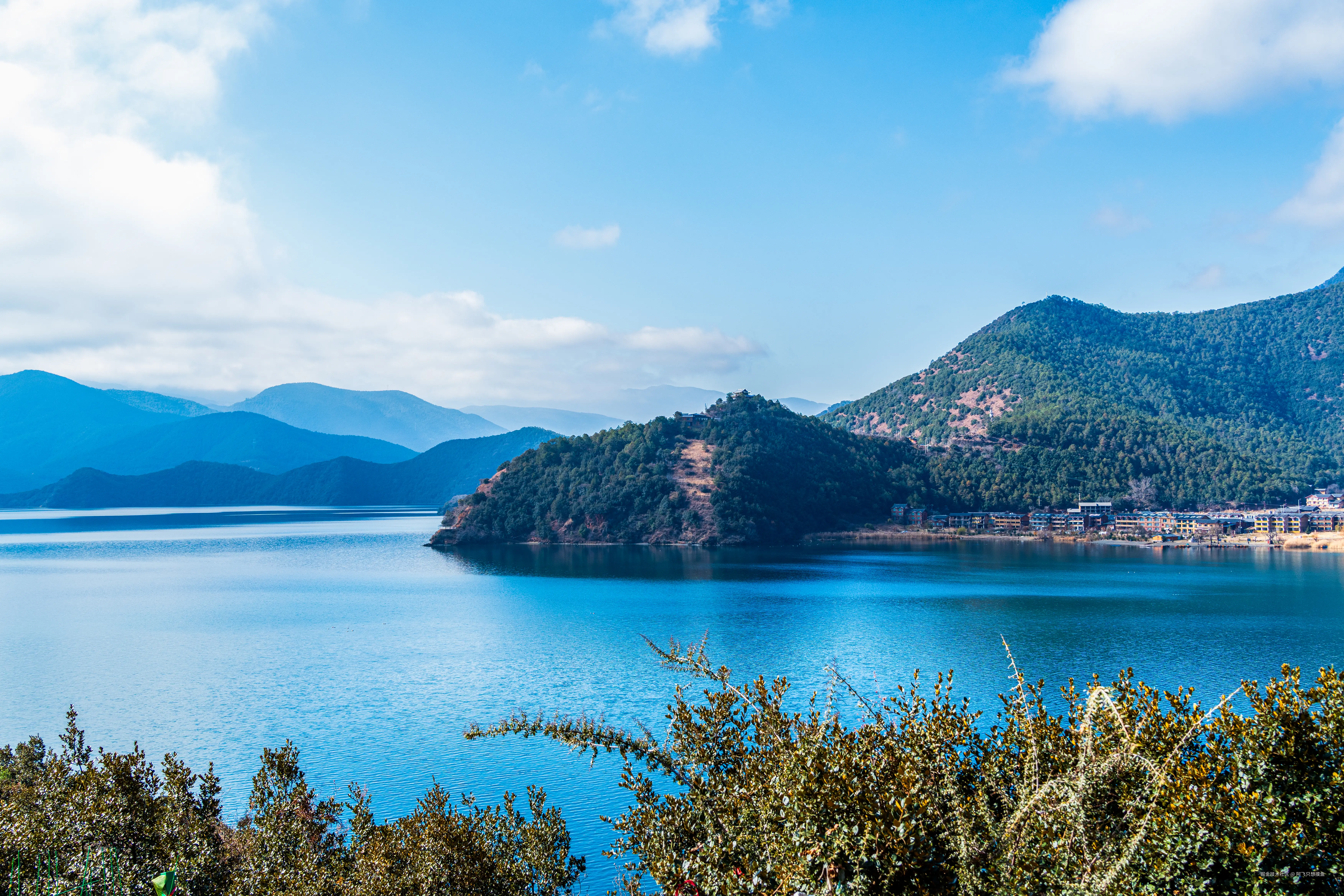 阿飞只想摸鱼于2026-02-11 14:46发布的图片