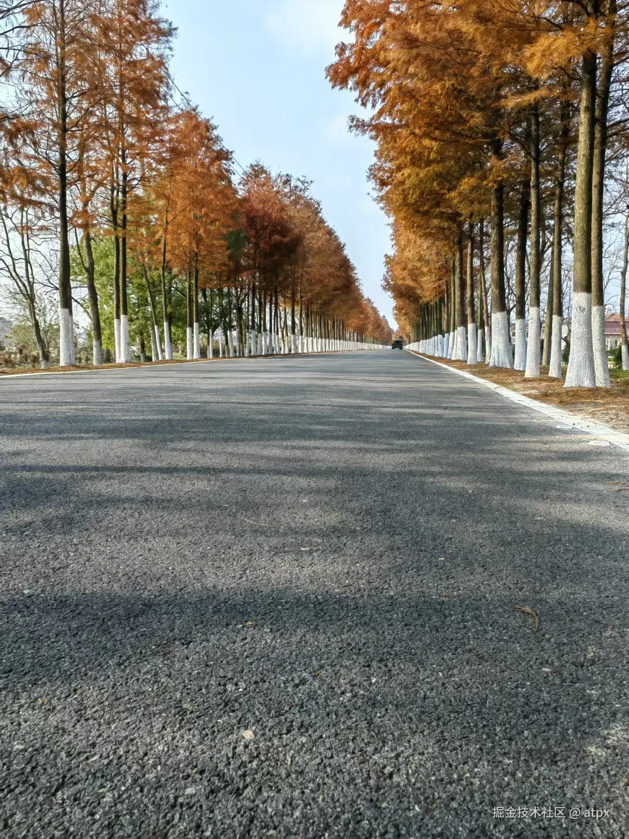 atpx于2024-12-23 11:13发布的图片