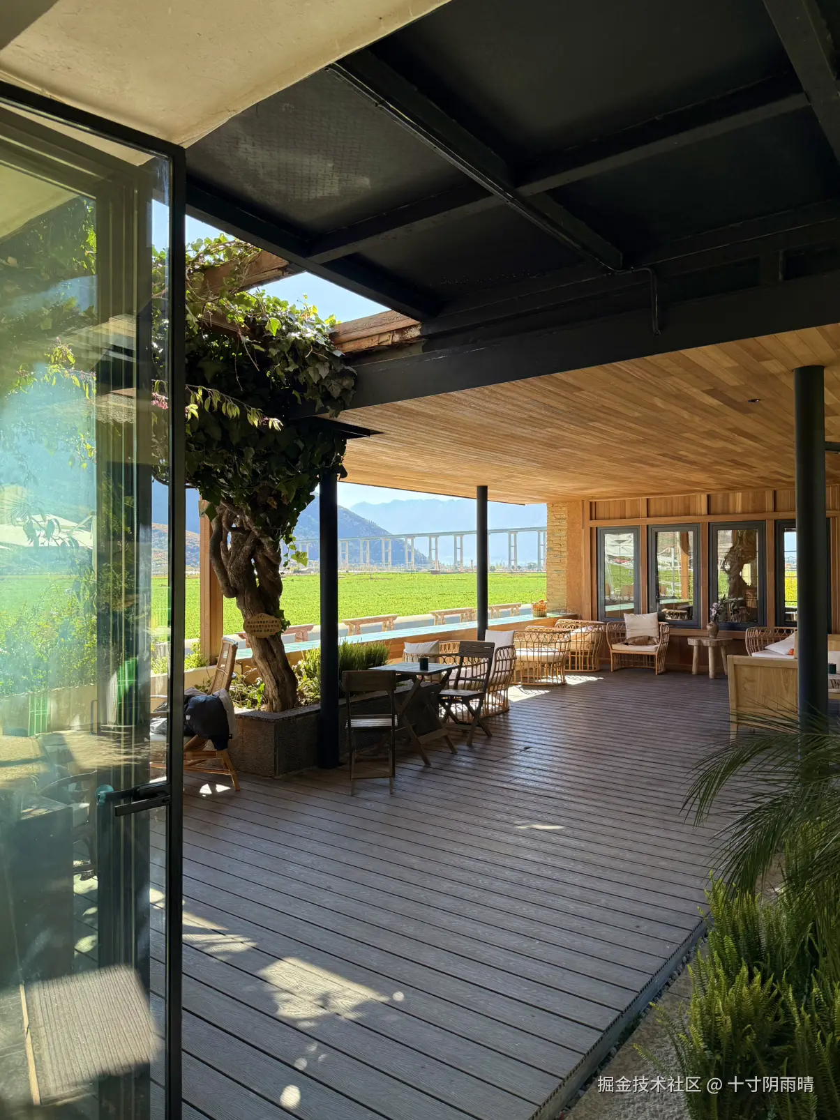 十寸阴雨晴于2026-02-06 11:51发布的图片