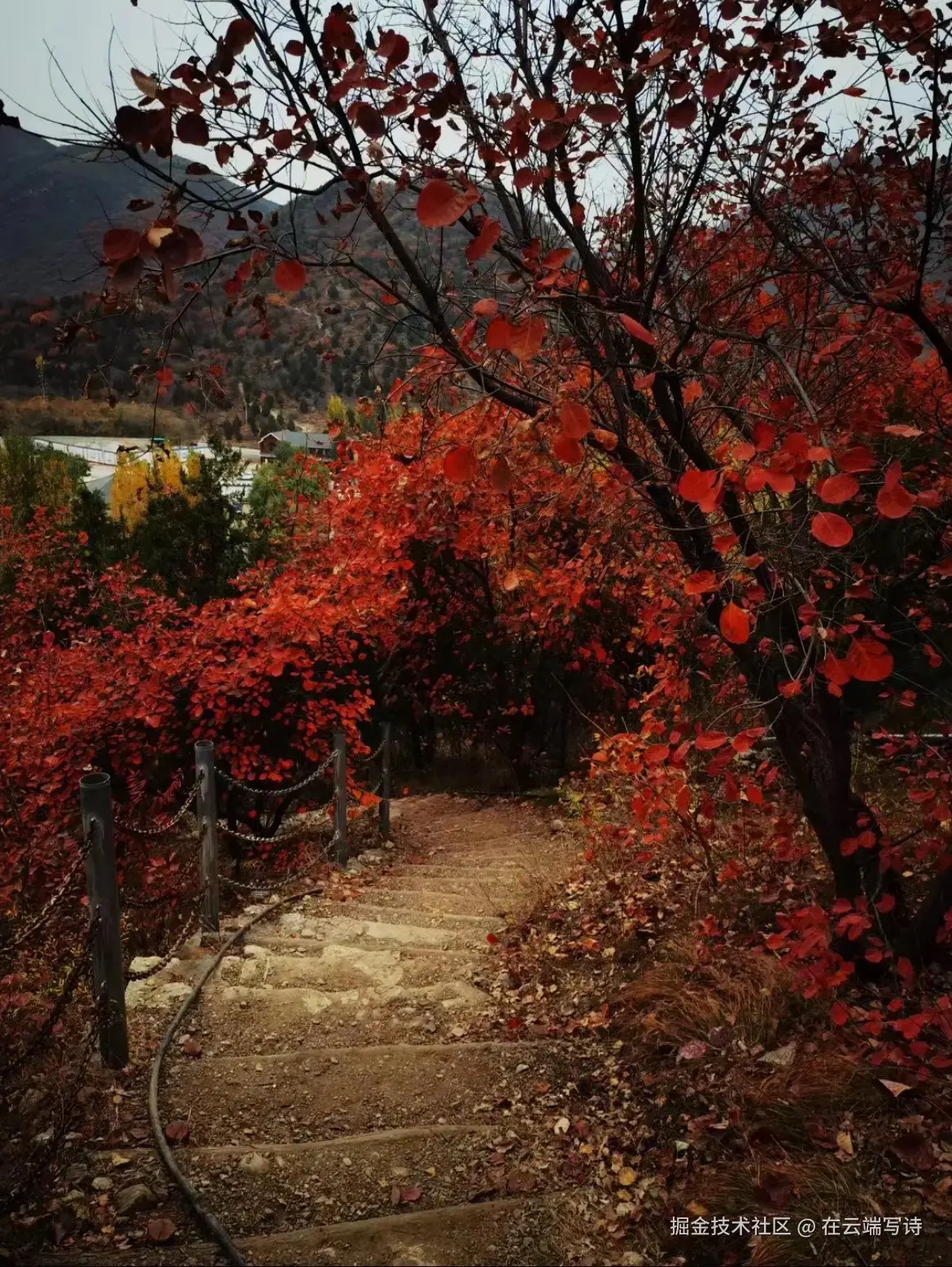 在云端写诗于2024-10-23 15:51发布的图片