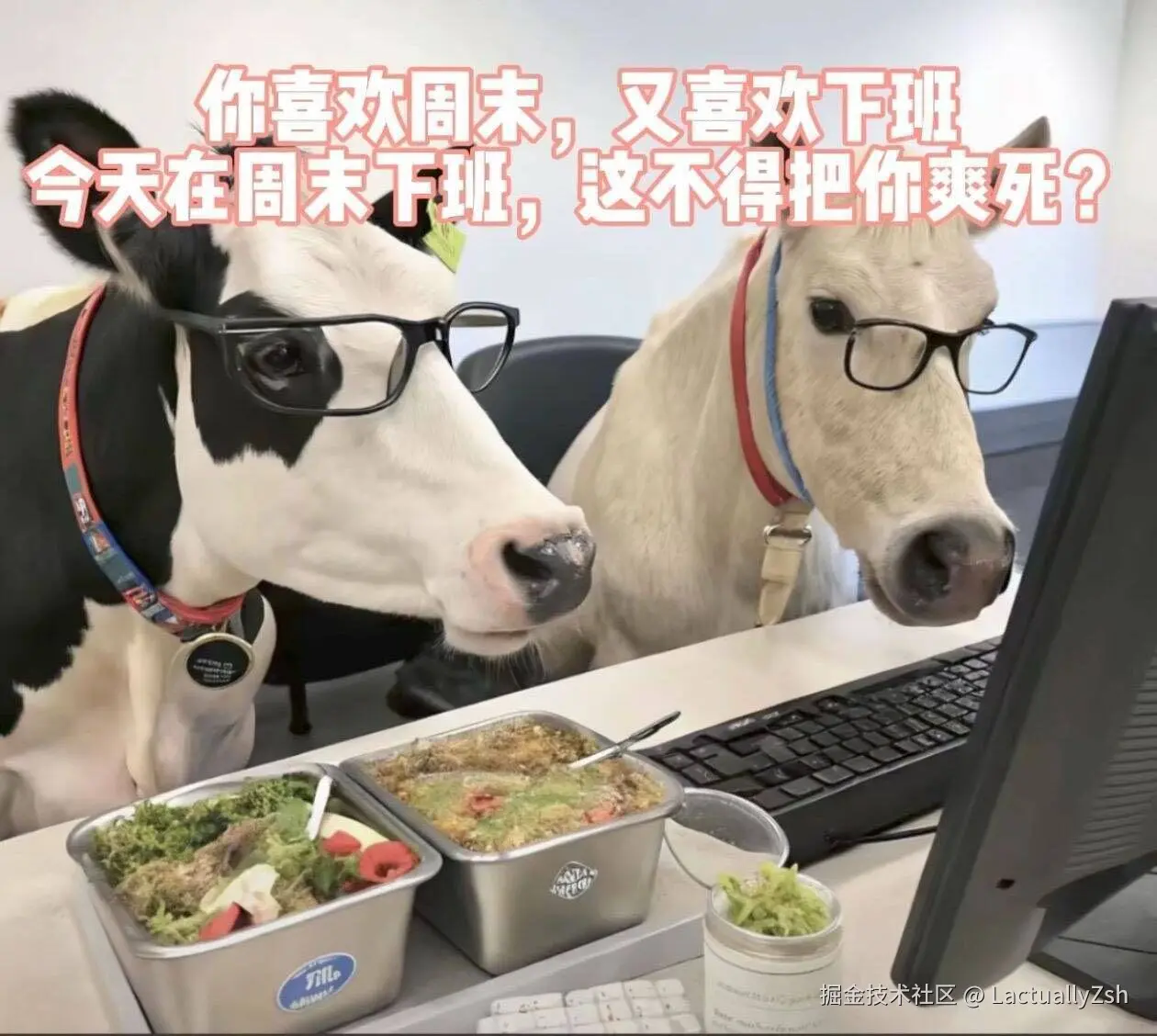 LactuallyZsh于2025-09-28 14:21发布的图片