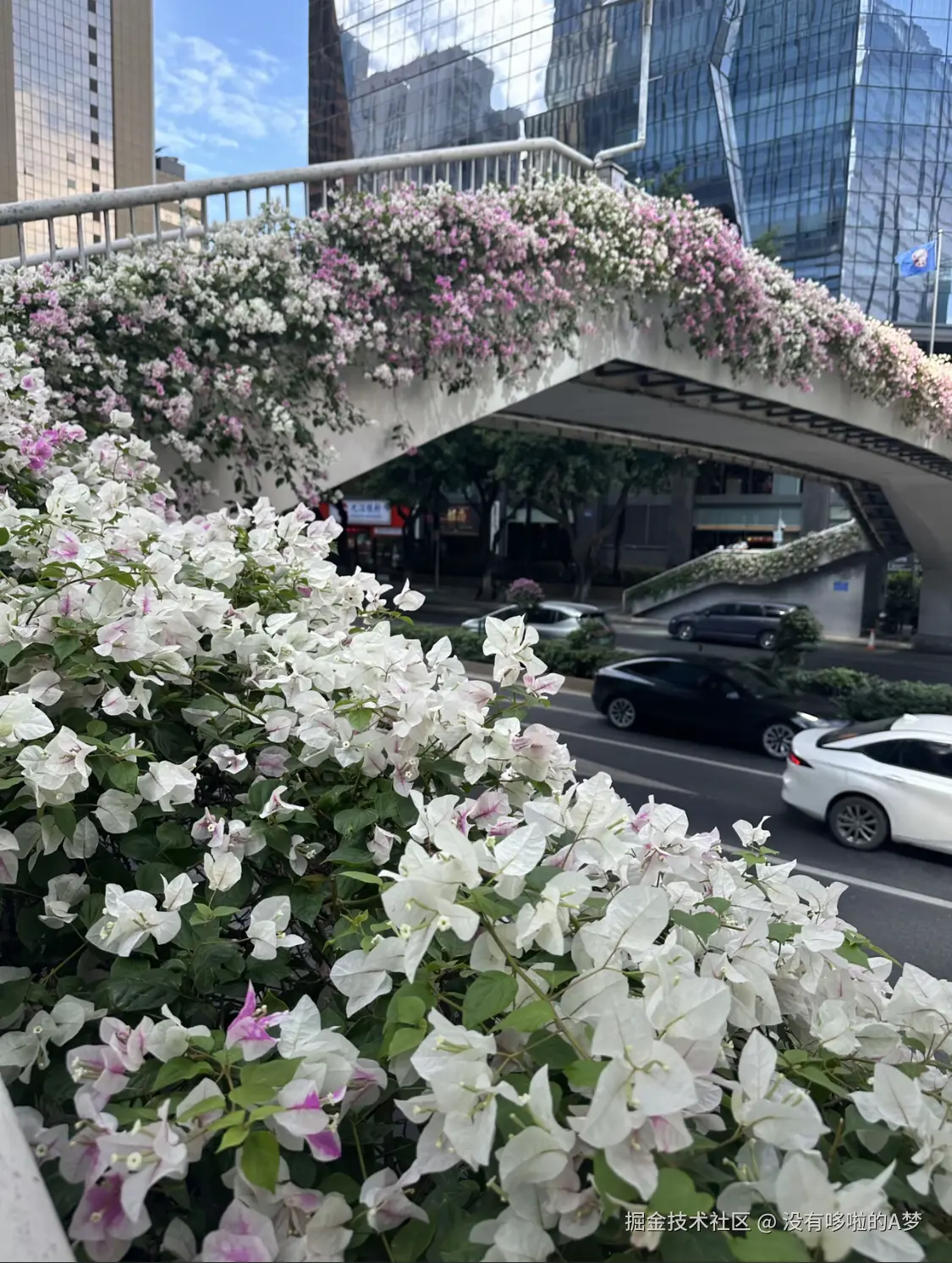 没有哆啦的A梦于2024-12-17 03:13发布的图片