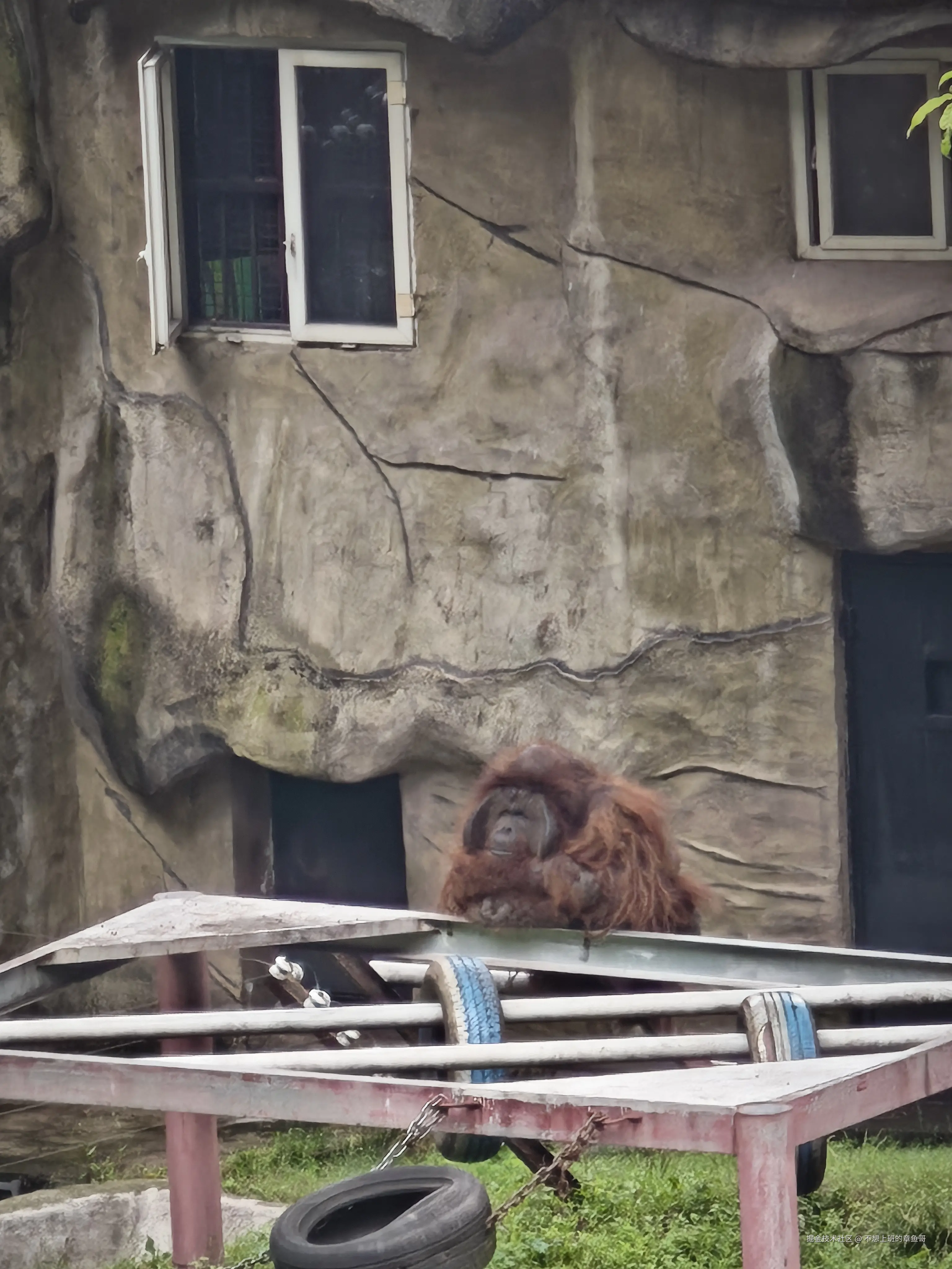 不想上班的章鱼哥于2025-10-09 03:56发布的图片