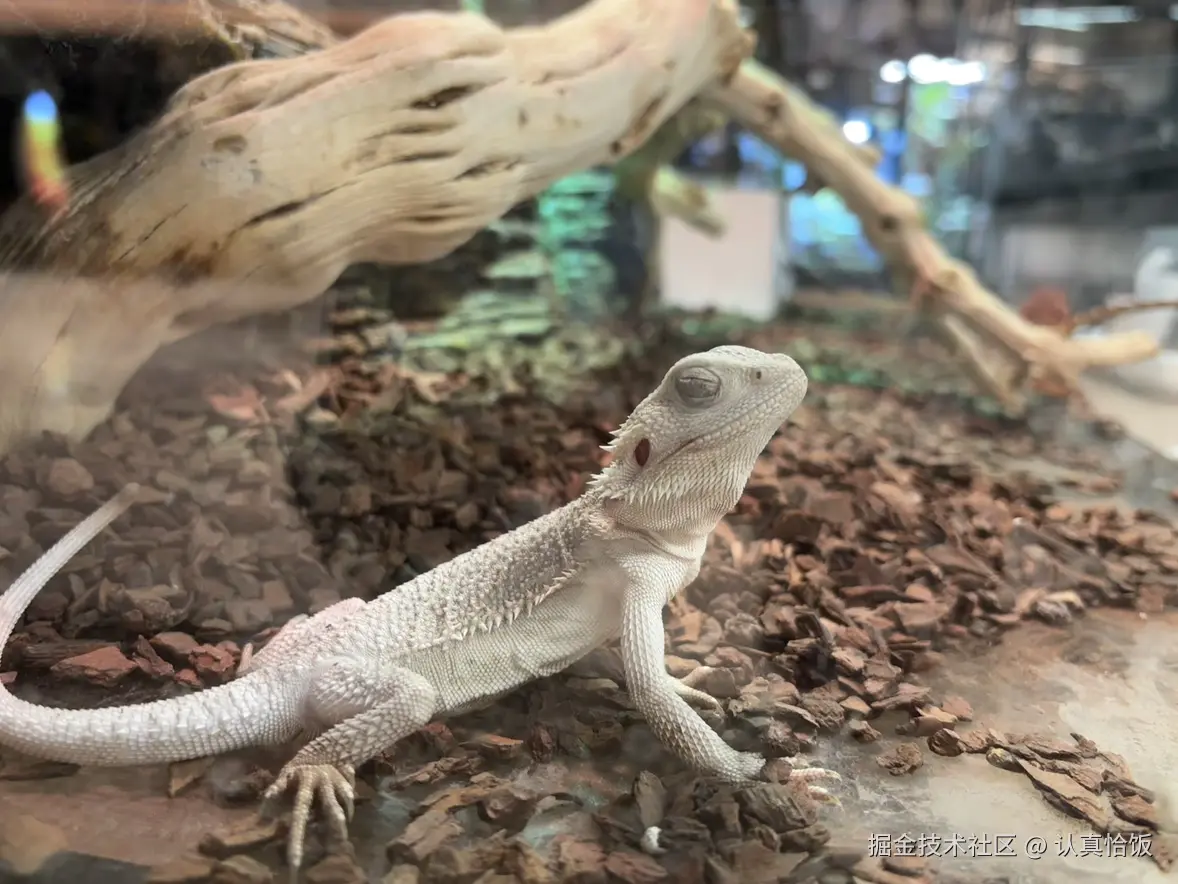 认真恰饭于2025-11-24 09:33发布的图片