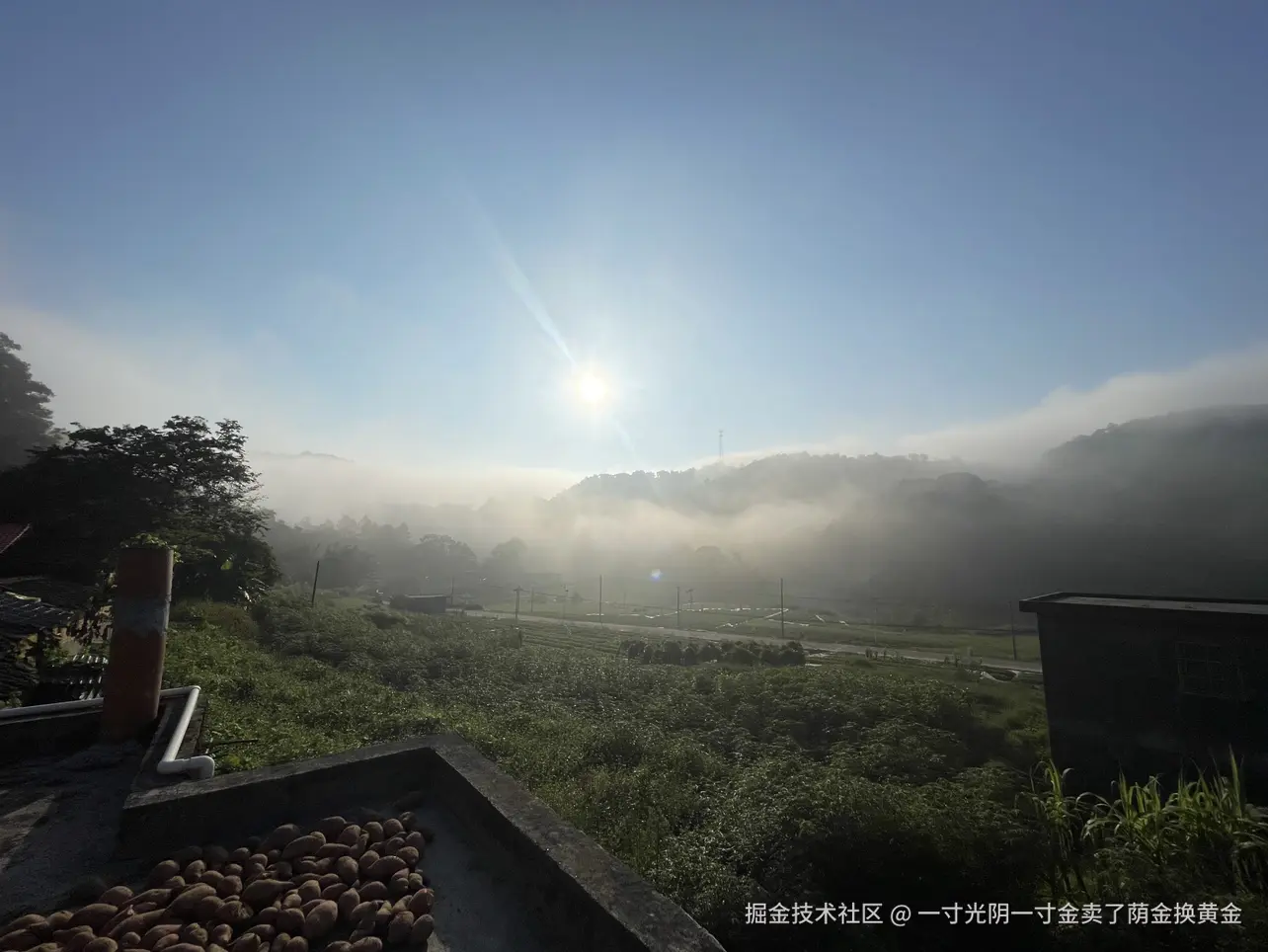 一寸光阴一寸金卖了荫金换黄金于2025-10-04 13:32发布的图片