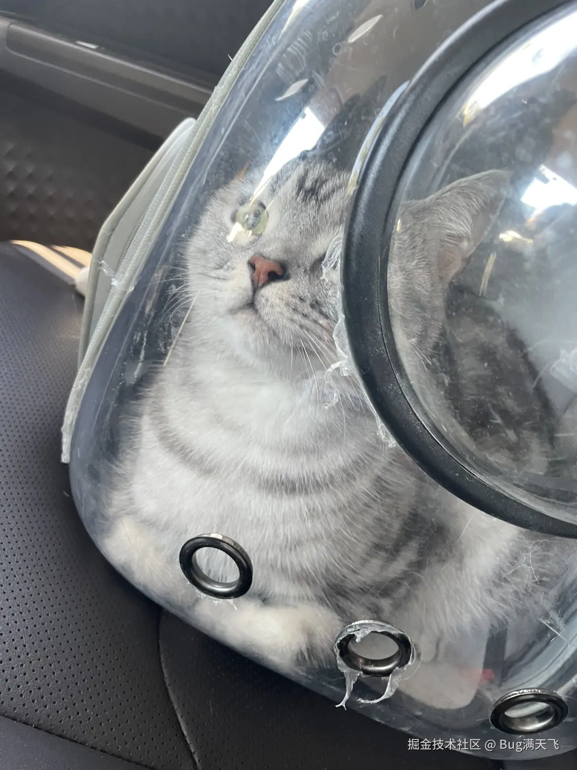 Bug满天飞于2024-10-09 16:13发布的图片