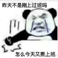 Russwest39于2026-05-11 09:50发布的图片