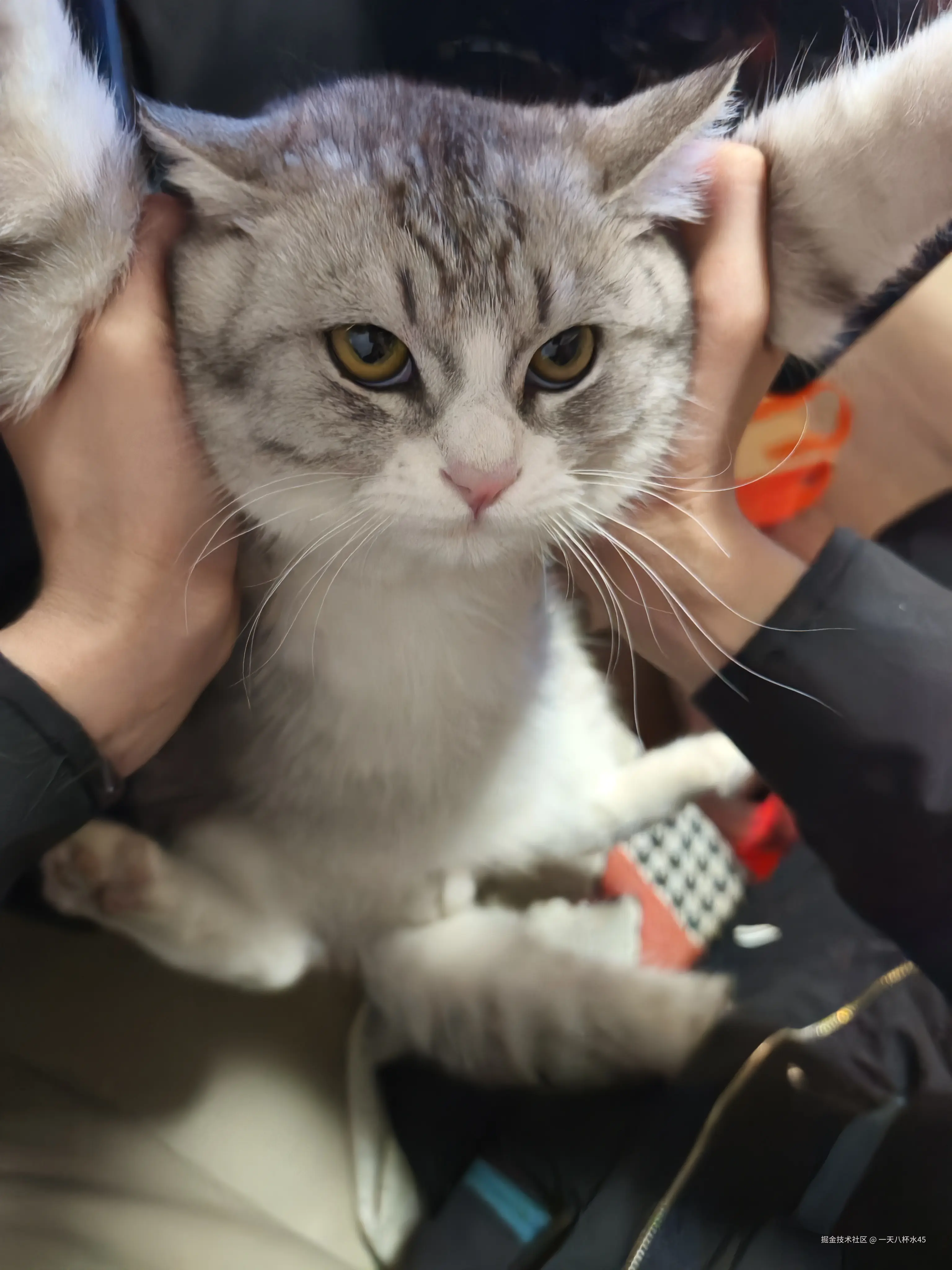 一天八杯水45于2025-07-31 14:32发布的图片