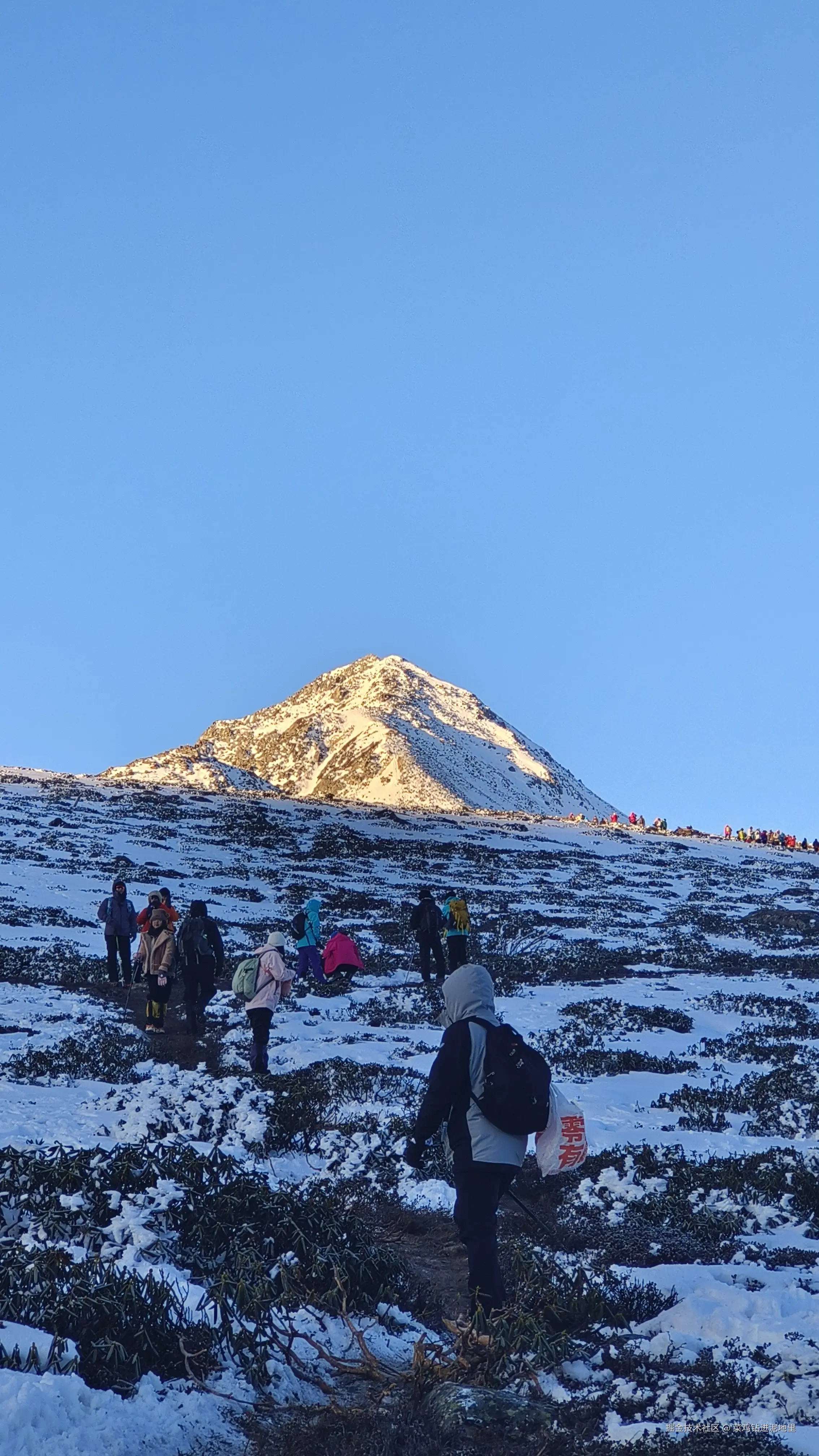 菜鸡钻进泥地里于2025-11-17 09:24发布的图片