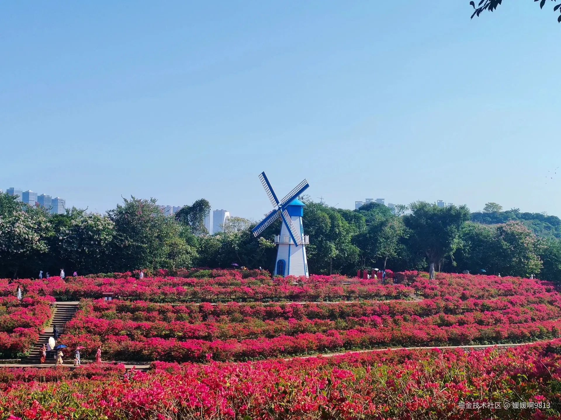 媛媛啊9813于2024-11-12 07:14发布的图片