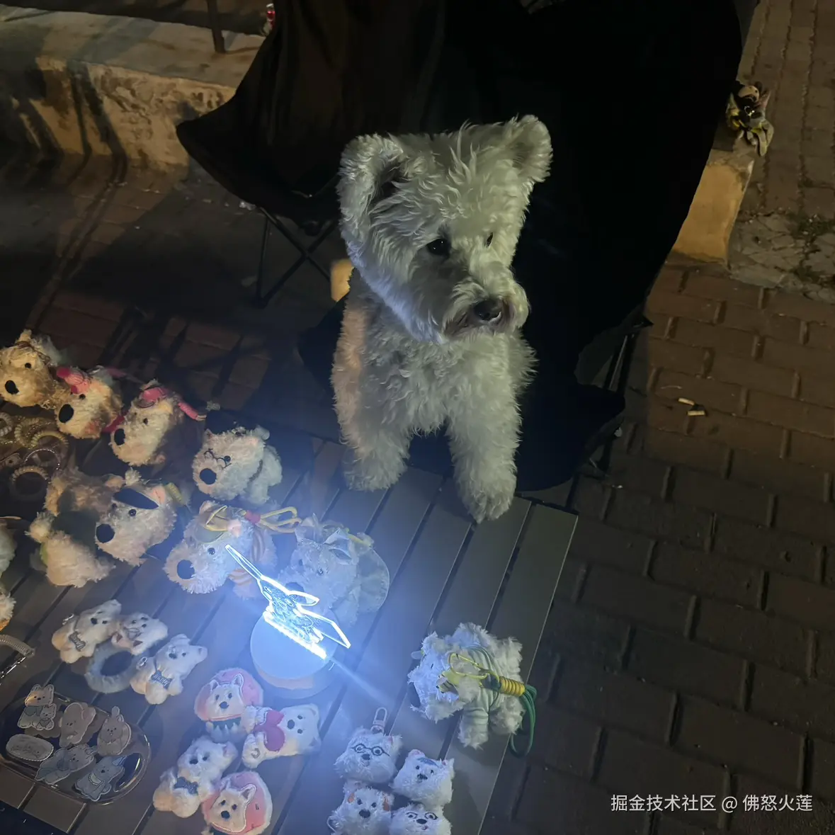 佛怒火莲于2025-06-09 09:55发布的图片