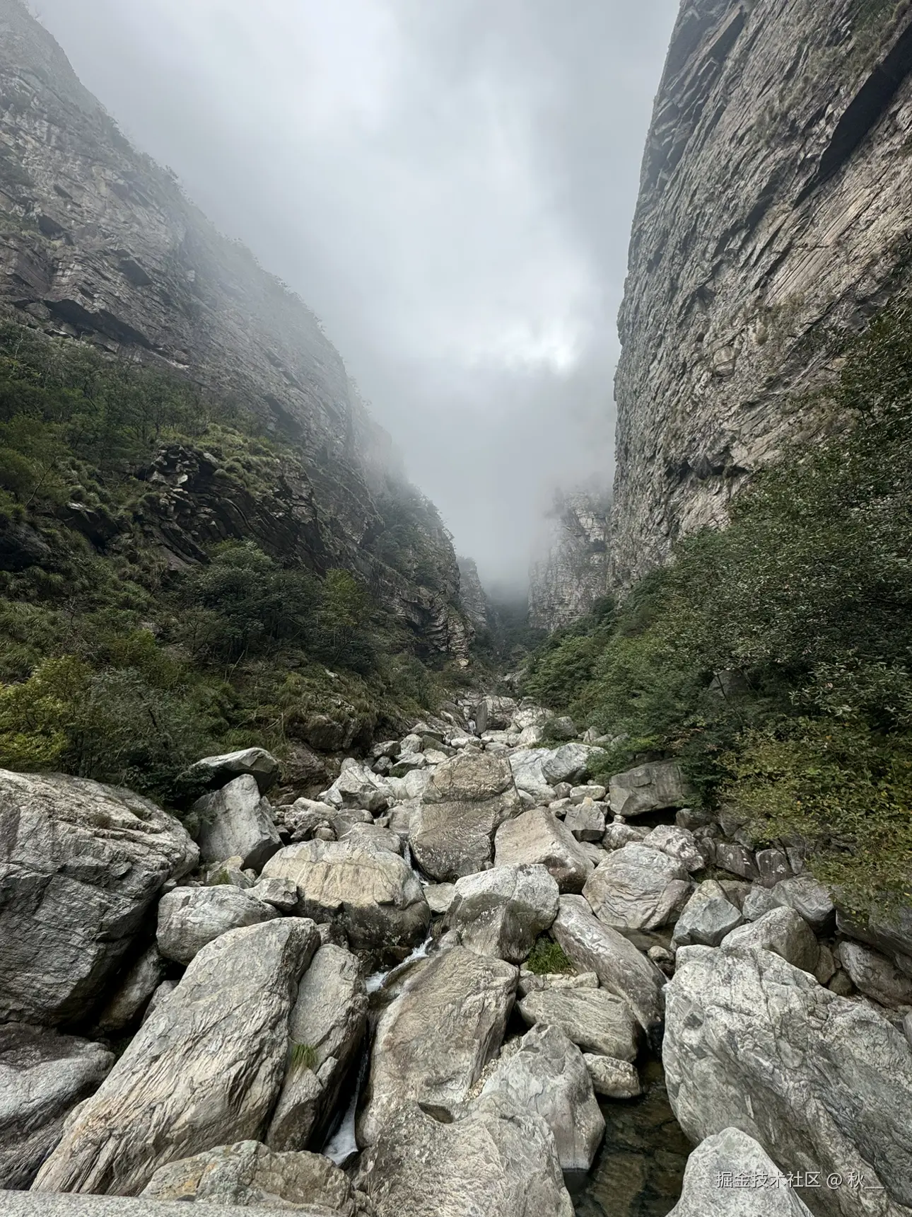 秋__于2024-10-21 09:44发布的图片