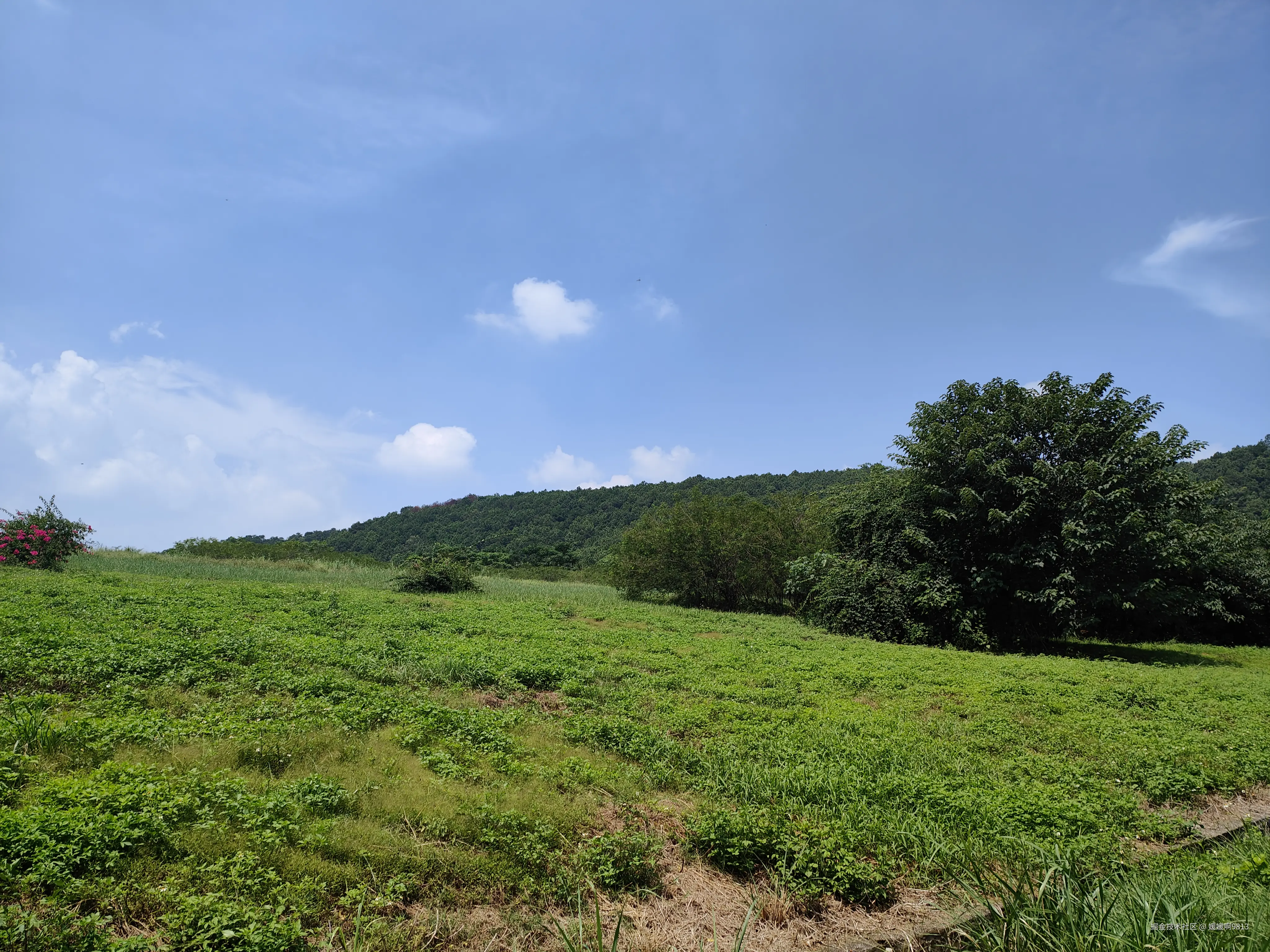 媛媛啊9813于2025-09-21 23:16发布的图片