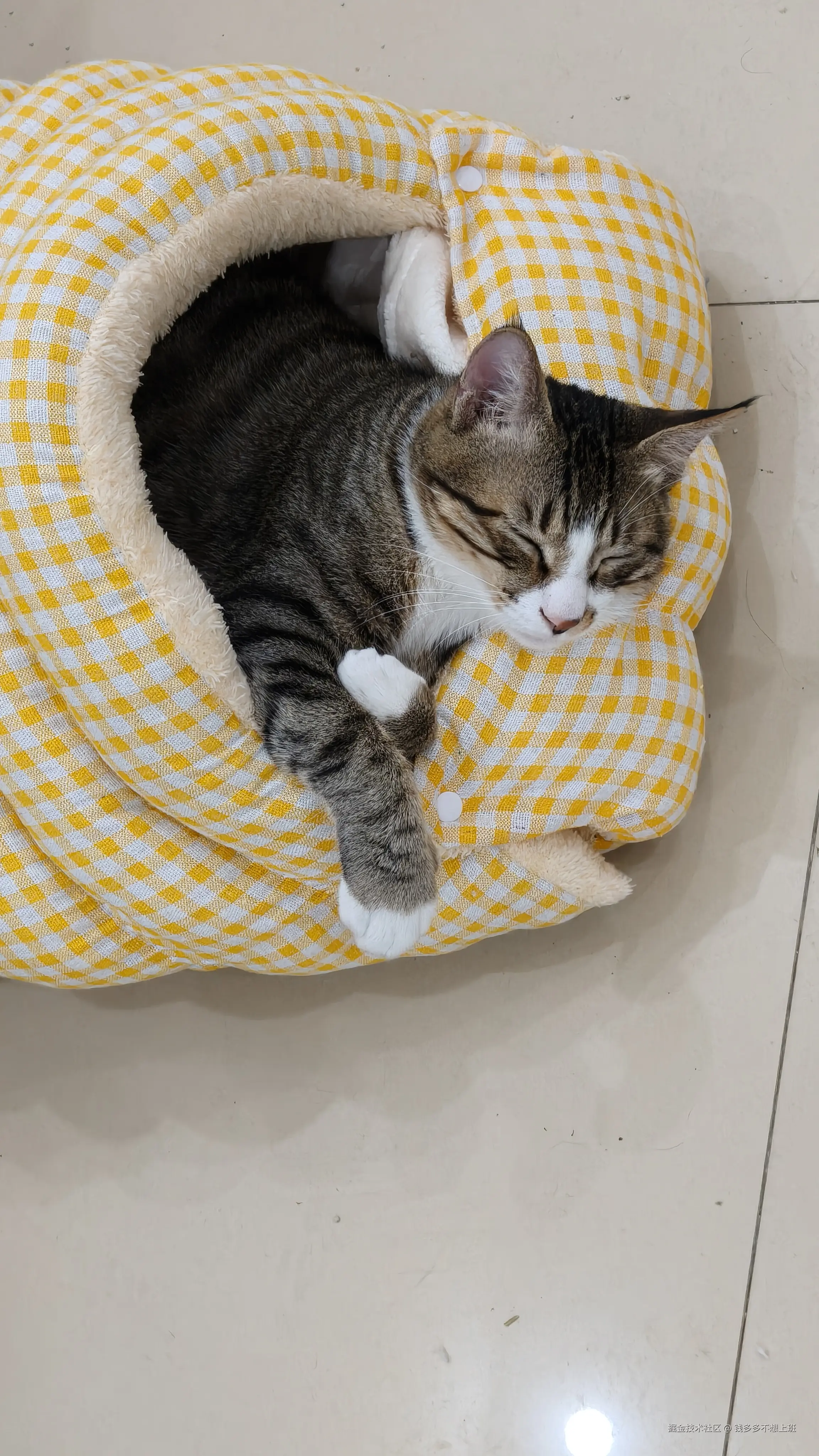 钱多多不想上班于2025-12-03 10:14发布的图片