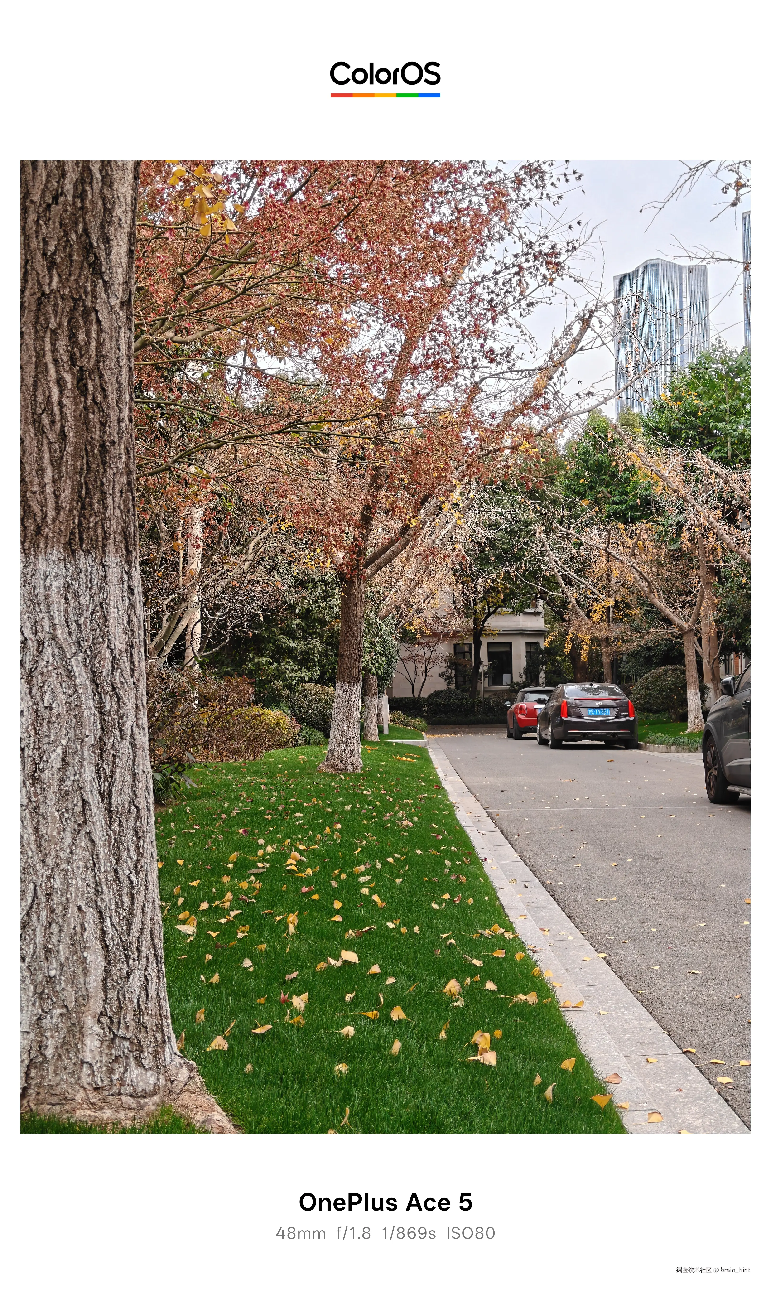 brain_hint于2025-12-23 13:06发布的图片