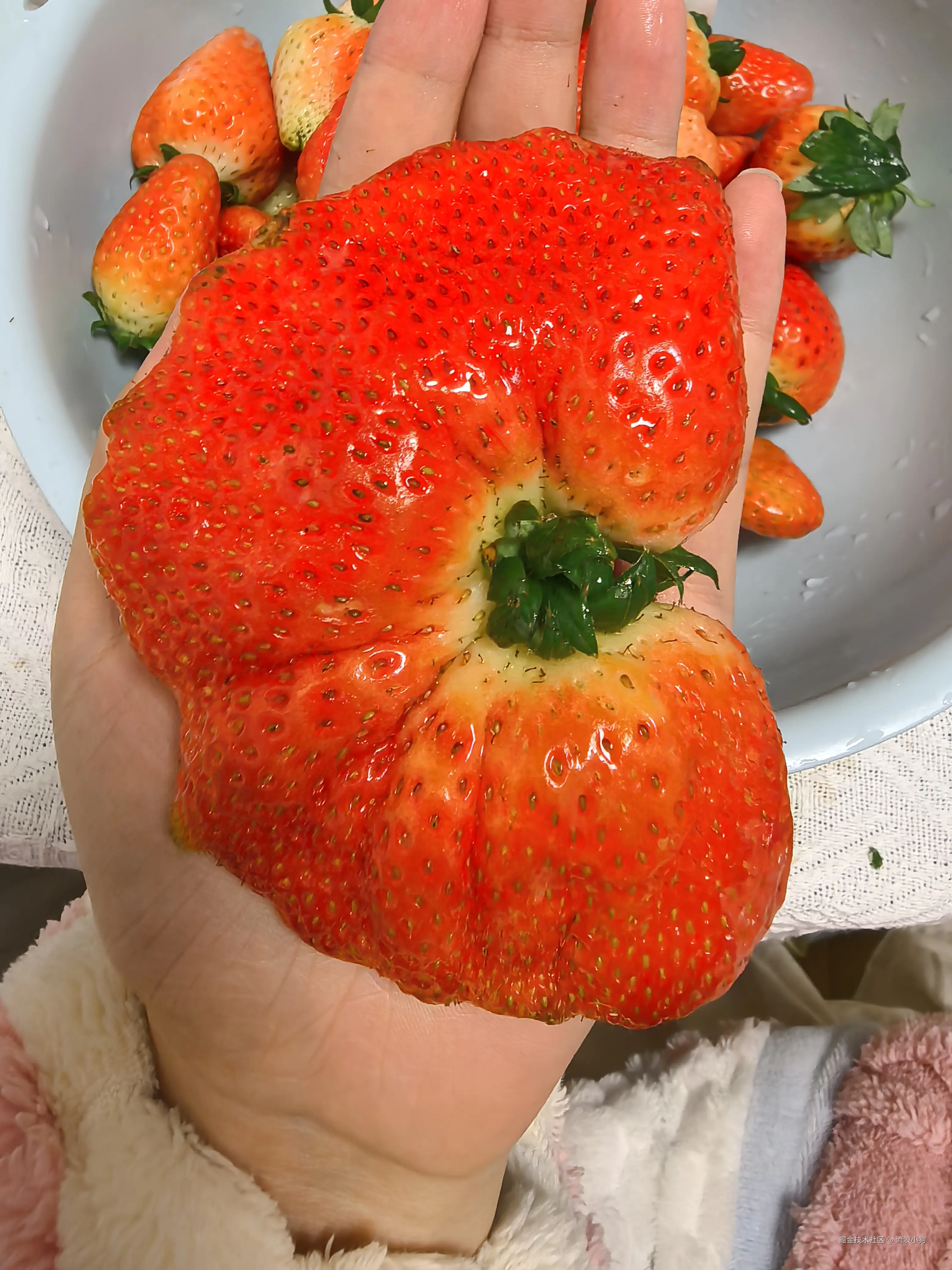 流浪小狗于2025-01-15 10:36发布的图片