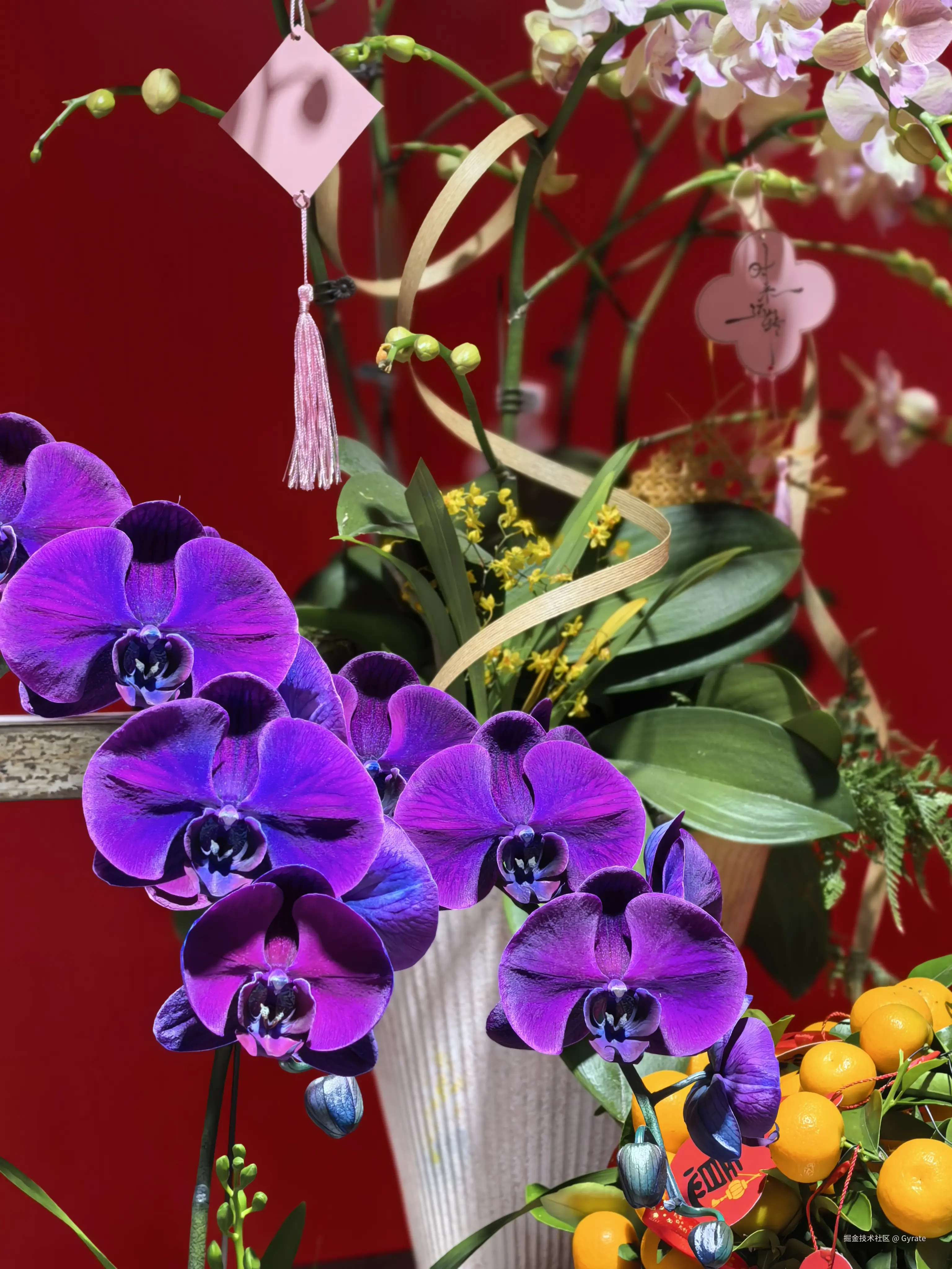 Gyrate于2026-02-13 09:58发布的图片