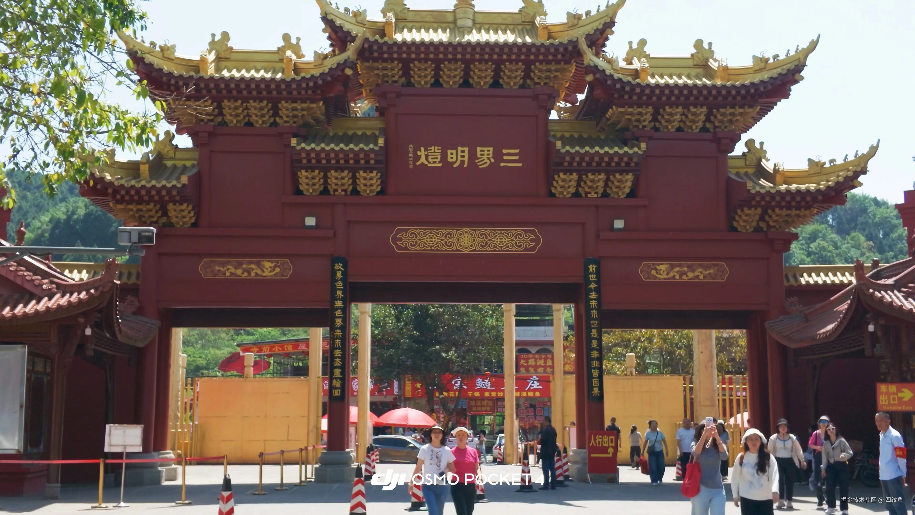 四纹鱼于2026-04-20 09:56发布的图片