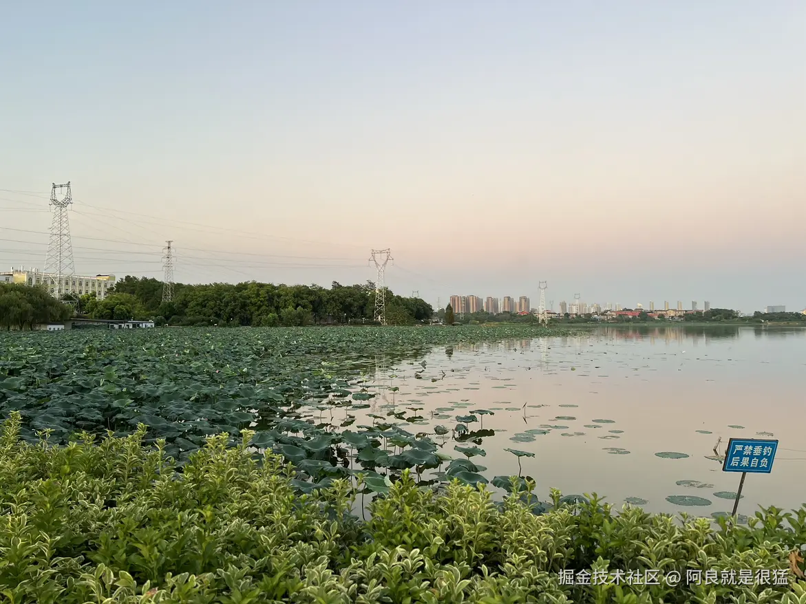 阿良就是很猛于2025-08-18 09:25发布的图片