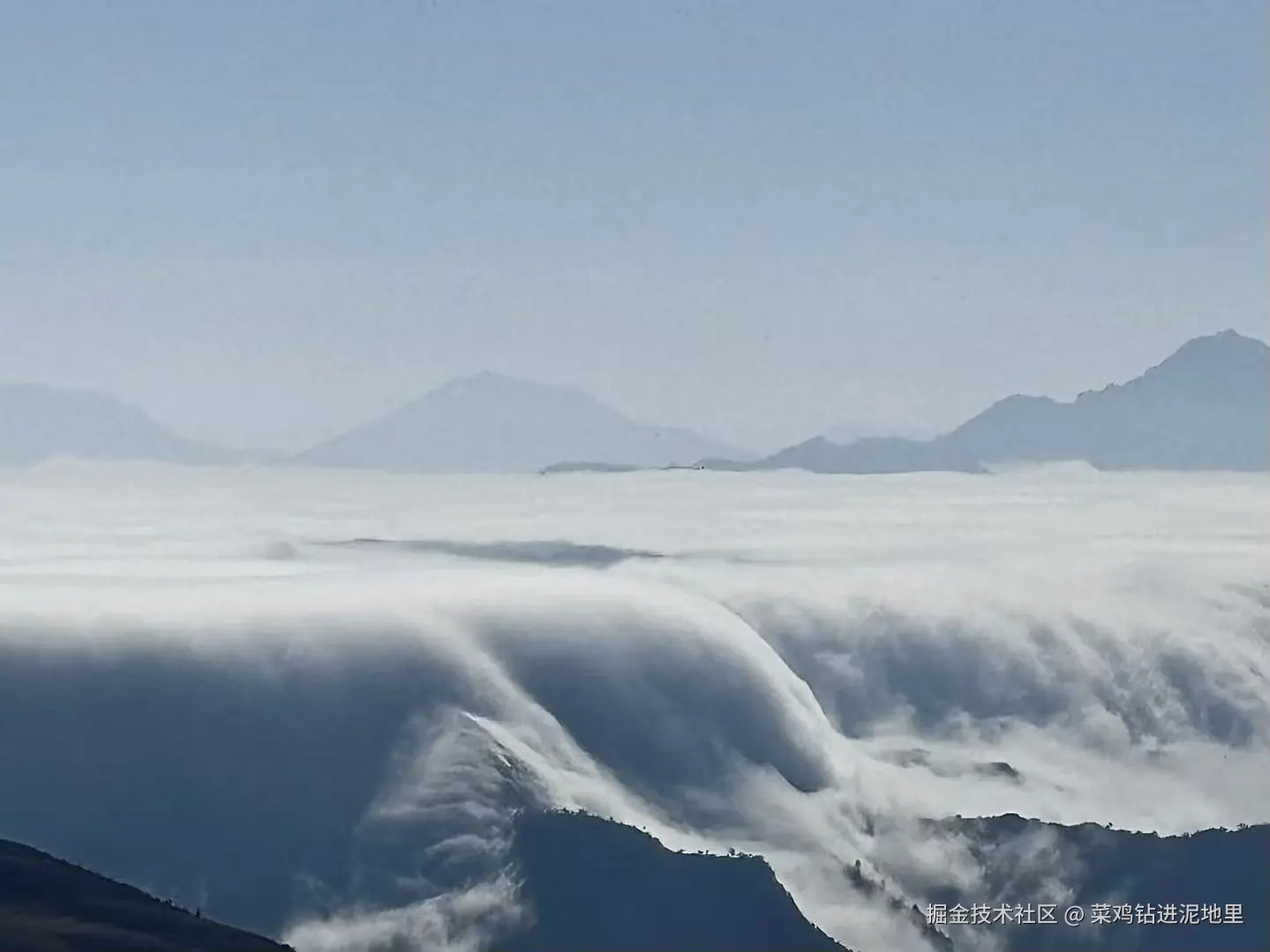 菜鸡钻进泥地里于2026-01-26 10:20发布的图片