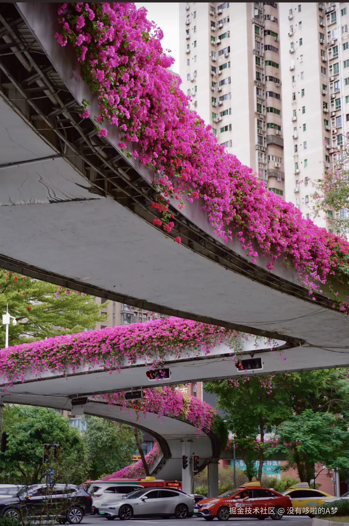 没有哆啦的A梦于2024-12-17 03:13发布的图片