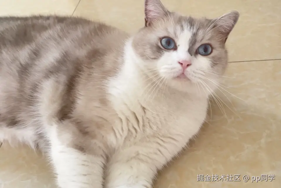 pp同学于2024-08-13 11:48发布的图片