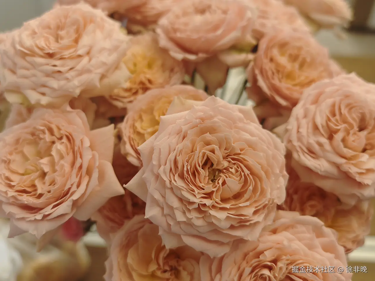 徐非晚于2024-08-26 22:49发布的图片