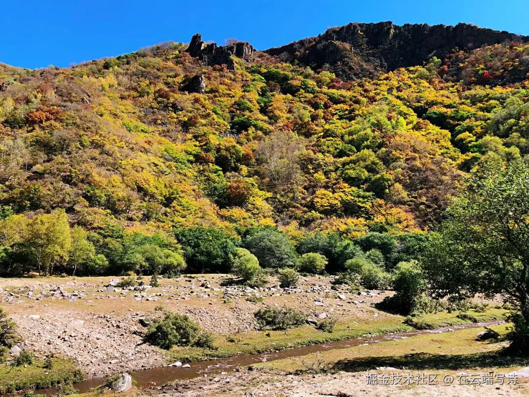 在云端写诗于2025-09-22 15:08发布的图片