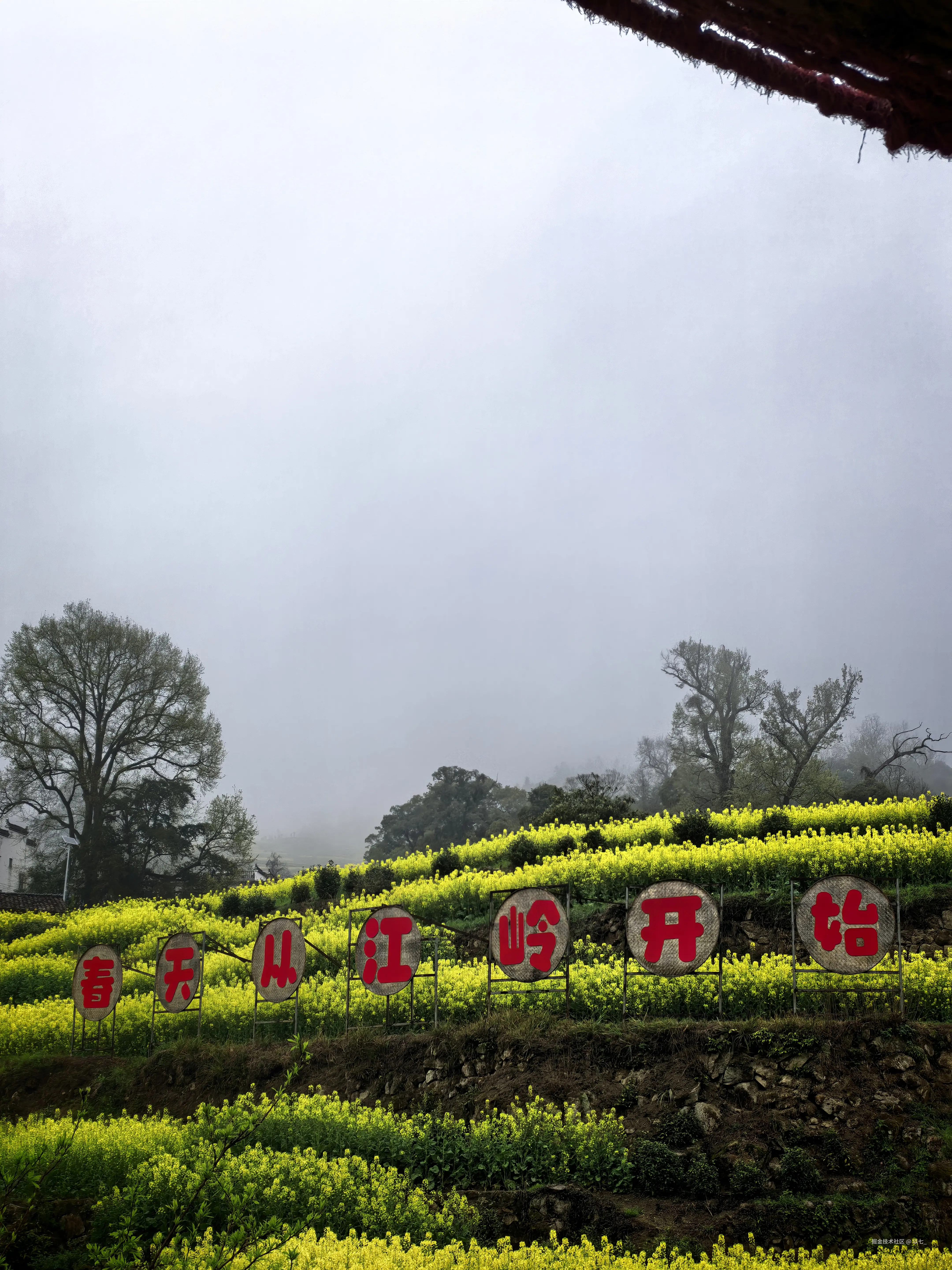 以七_于2026-03-24 11:30发布的图片