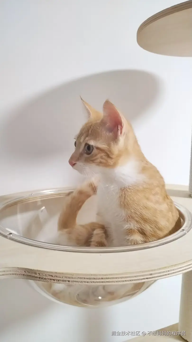 不想码码的程序员于2025-08-12 14:23发布的图片