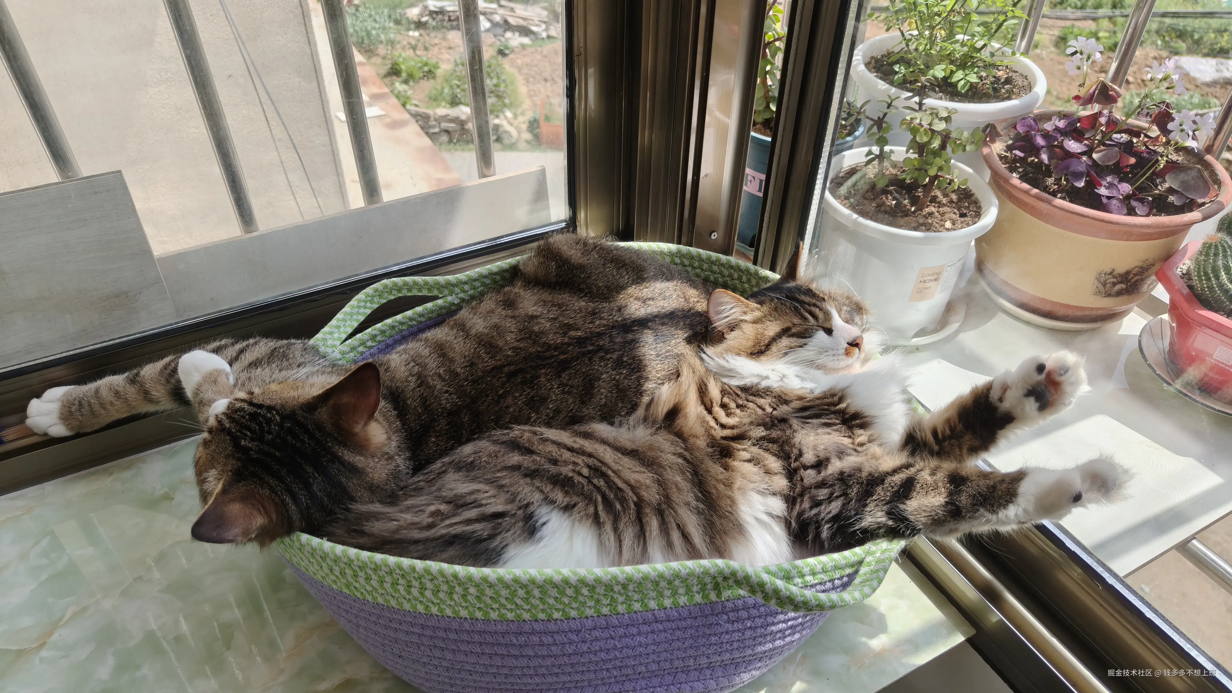 钱多多不想上班于2026-04-07 10:47发布的图片