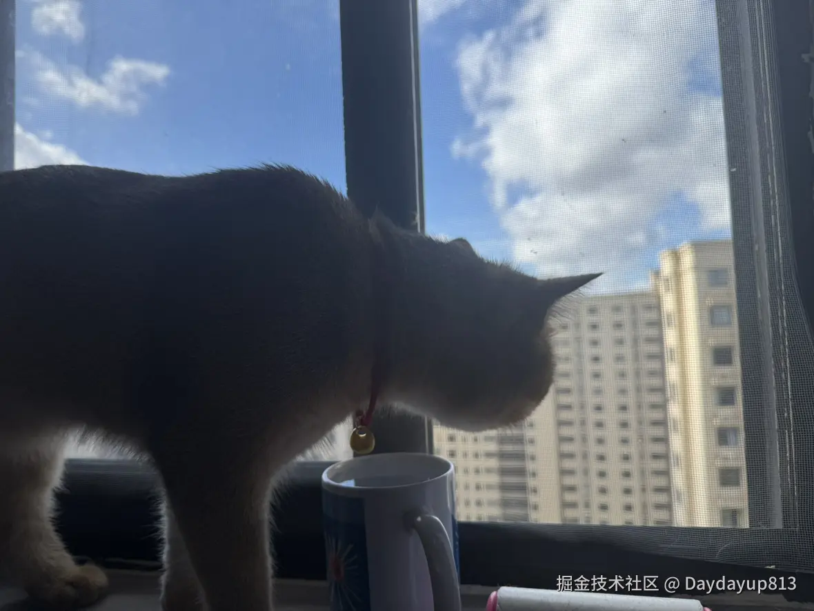 Daydayup813于2025-08-14 14:41发布的图片