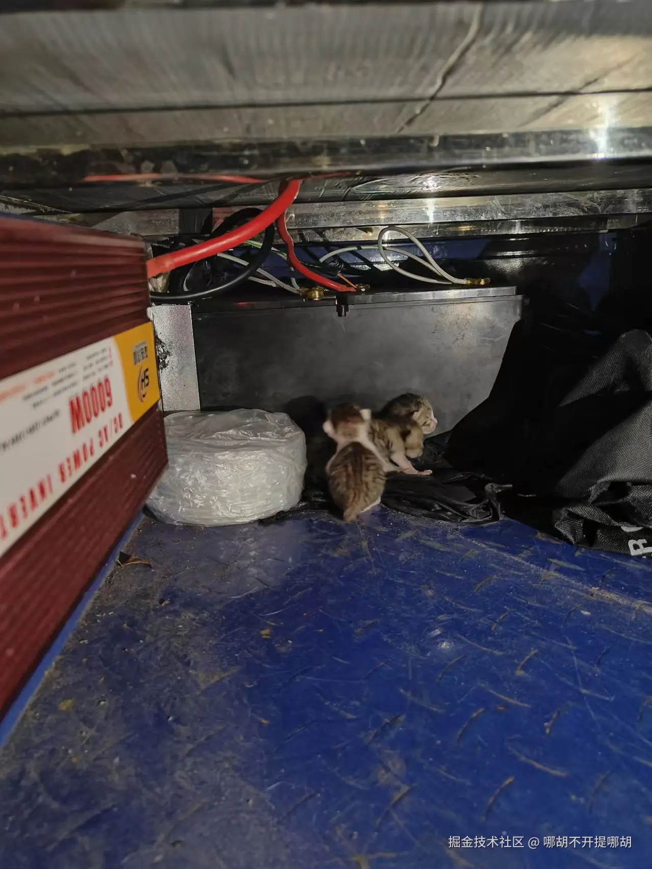 哪胡不开提哪胡于2024-11-01 09:07发布的图片