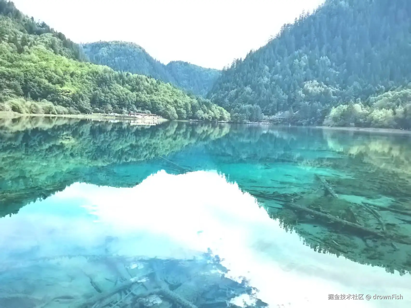 drownFish于2025-10-09 09:42发布的图片