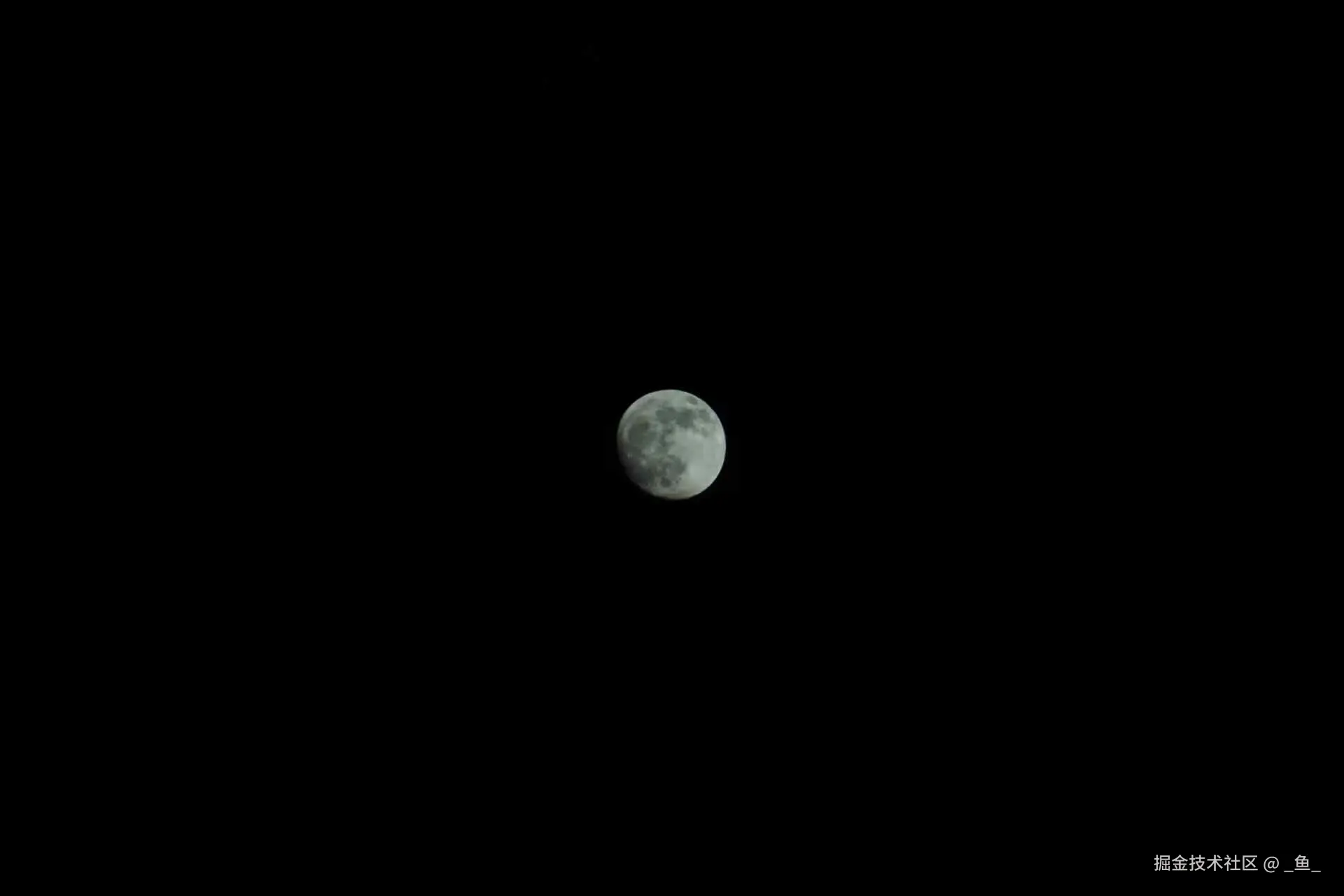 _鱼_于2025-11-19 17:06发布的图片