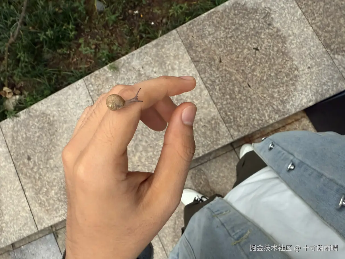 十寸阴雨晴于2025-10-14 16:58发布的图片