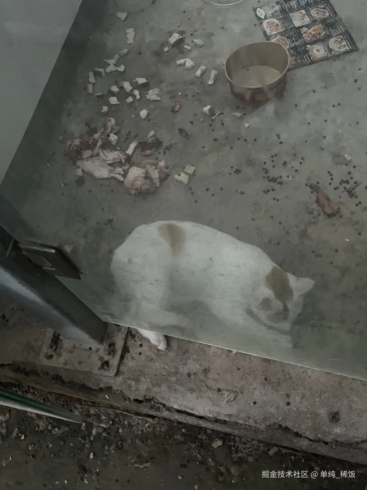 单纯_稀饭于2025-10-28 16:29发布的图片