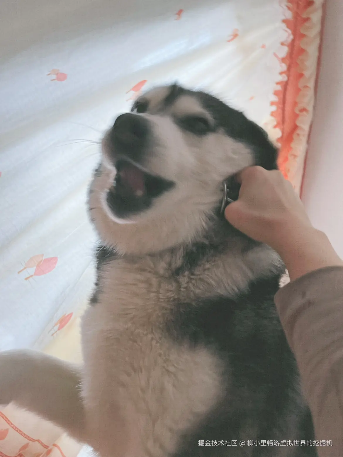 柳小里畅游虚拟世界的挖掘机于2025-11-27 02:58发布的图片