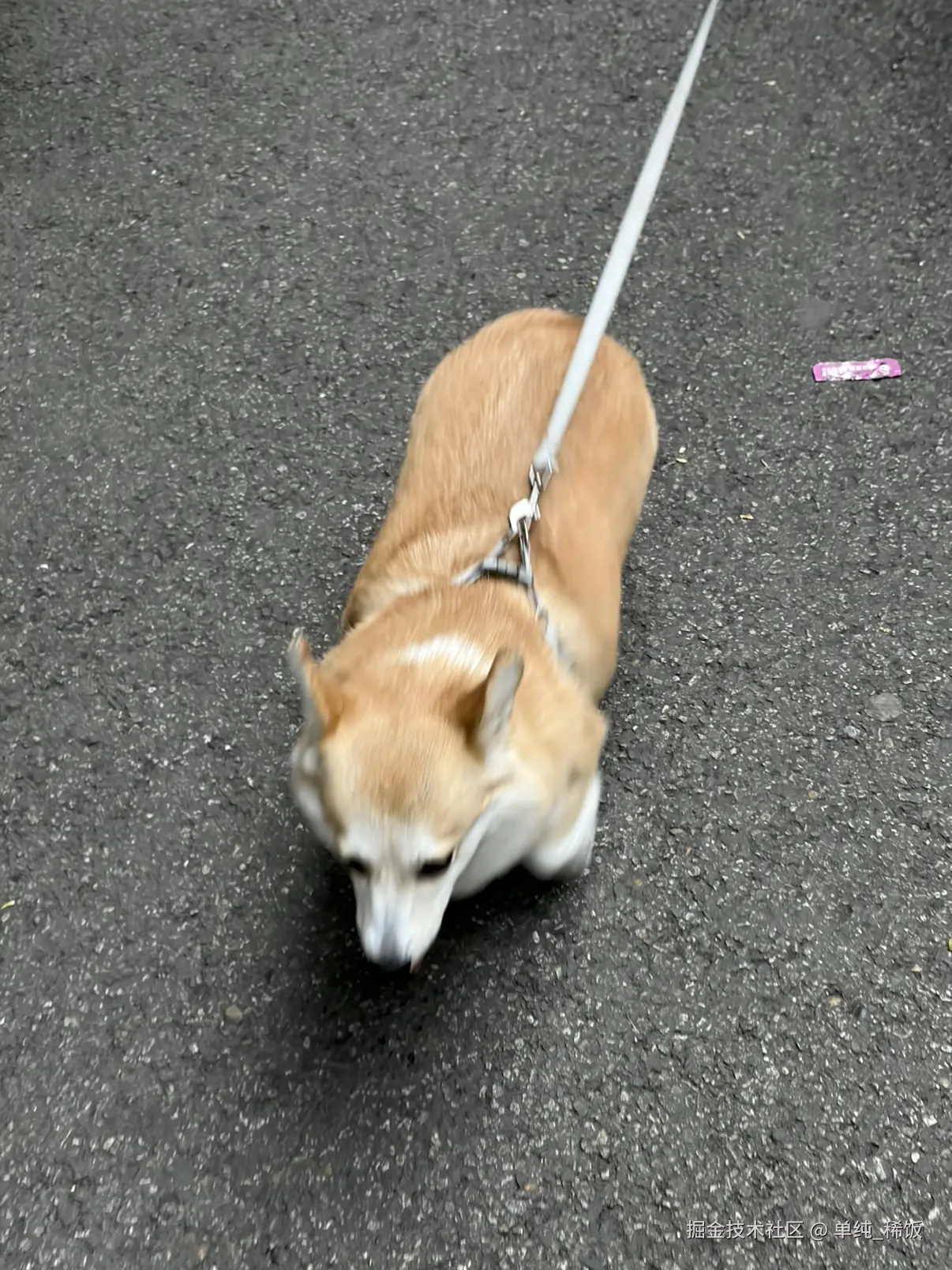 单纯_稀饭于2026-04-01 07:44发布的图片