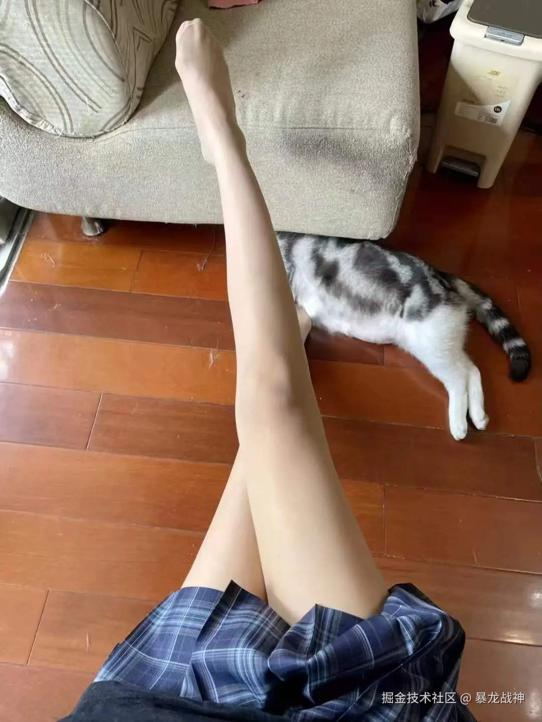 暴龙战神于2025-12-04 13:48发布的图片