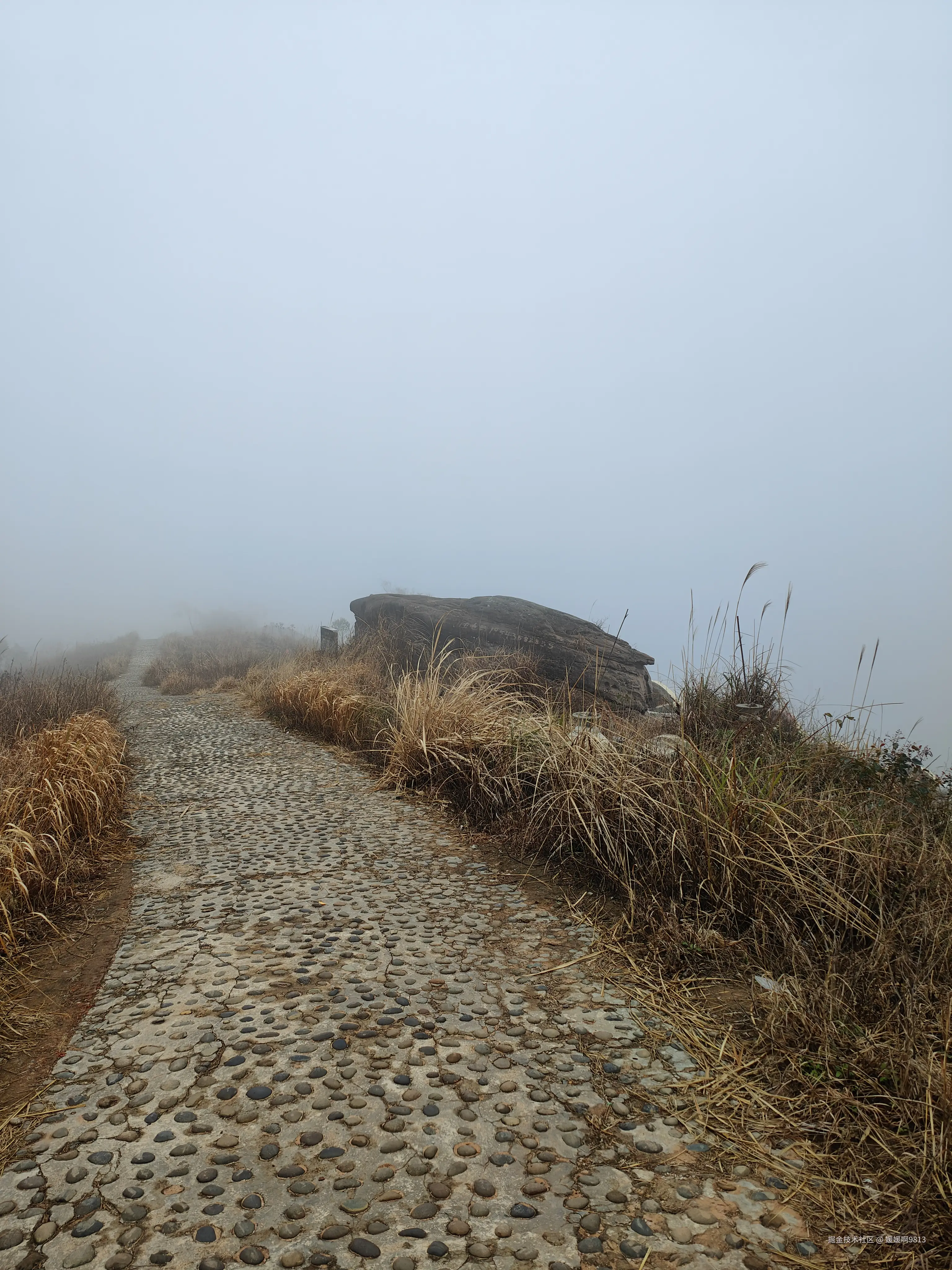 媛媛啊9813于2026-01-24 19:39发布的图片