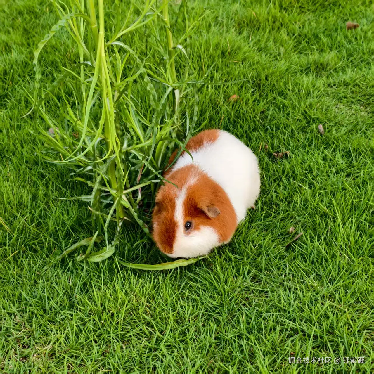 钰紫薇于2025-07-21 14:04发布的图片