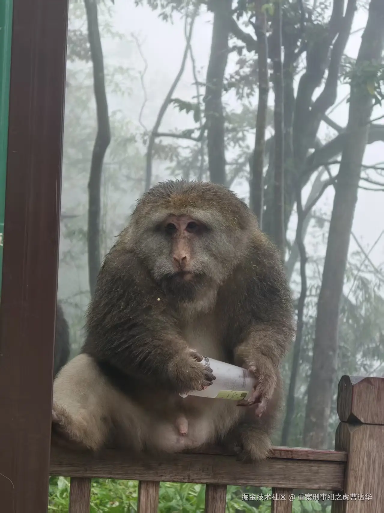 重案刑事组之虎曹达华于2025-12-09 10:01发布的图片