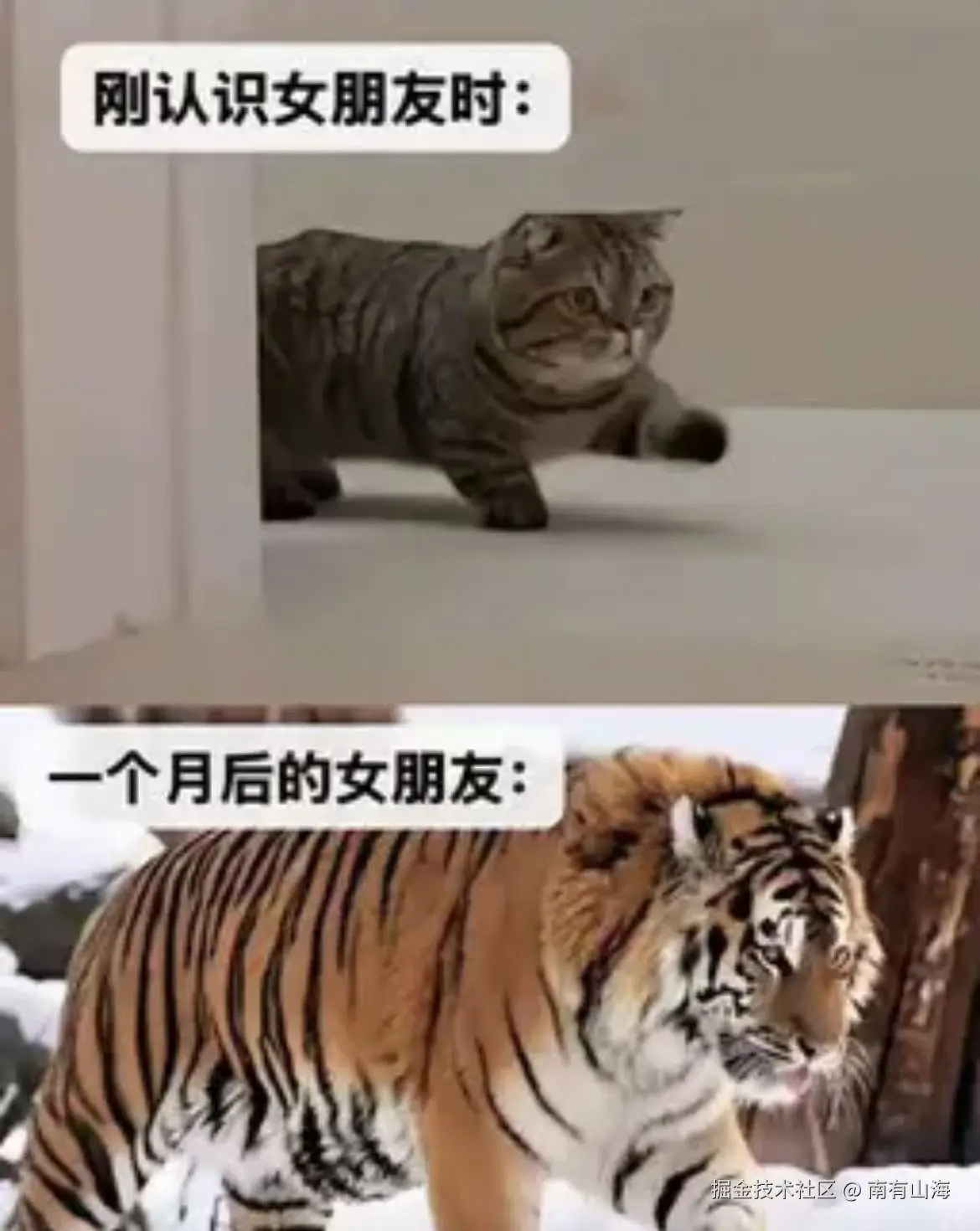 南有山海于2025-10-22 13:45发布的图片