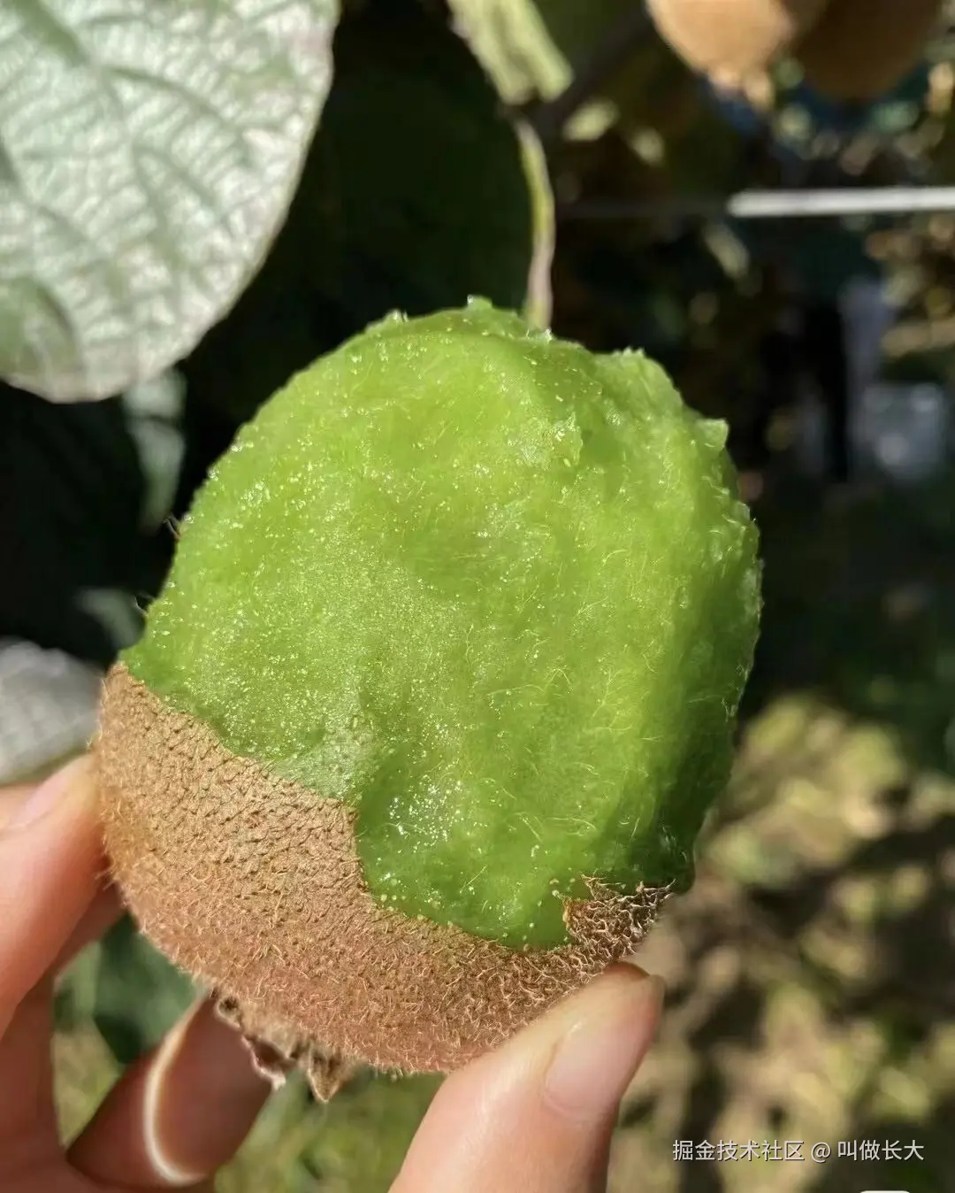 叫做长大于2025-09-16 14:47发布的图片