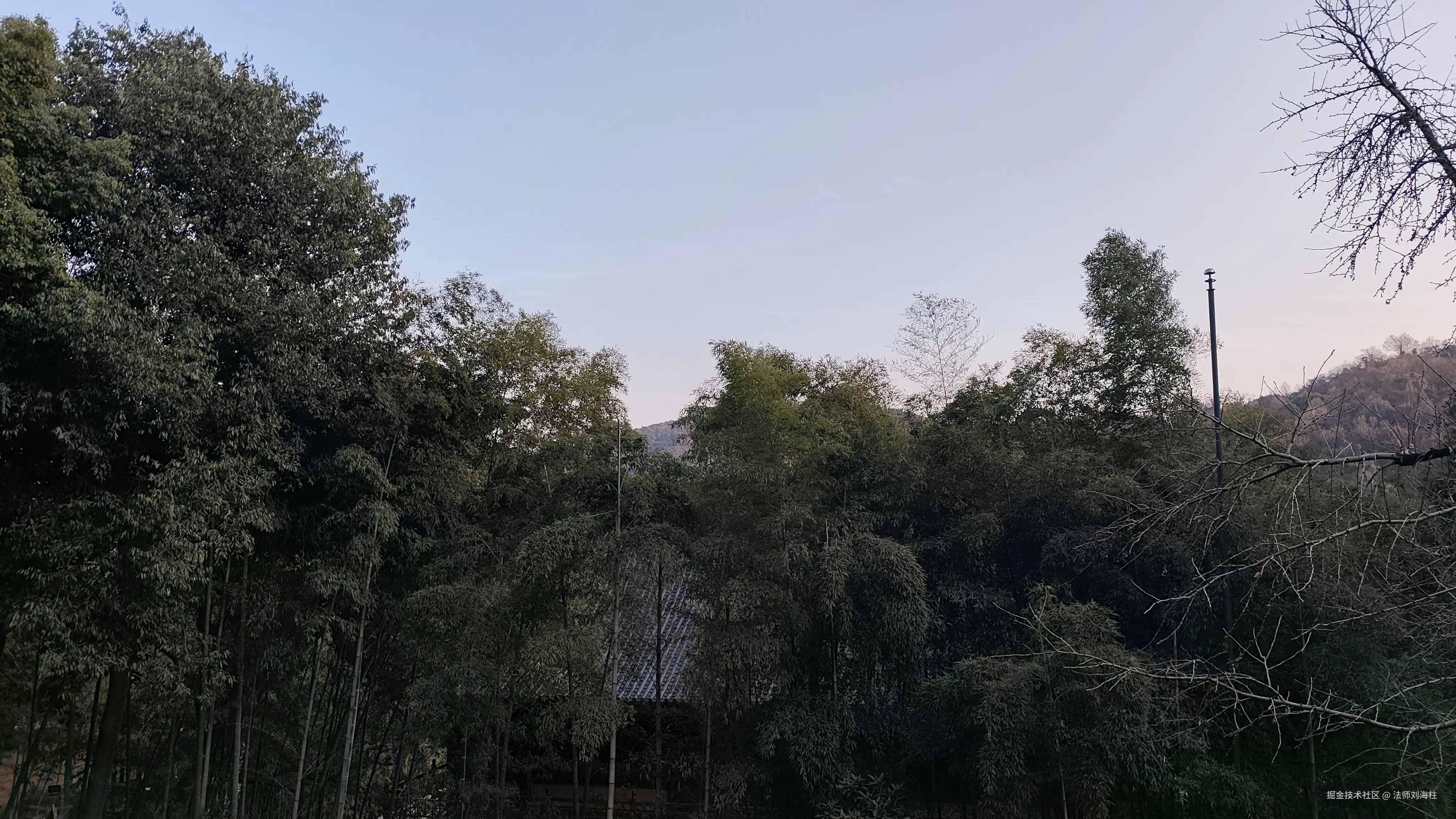 法师刘海柱于2025-03-03 10:05发布的图片